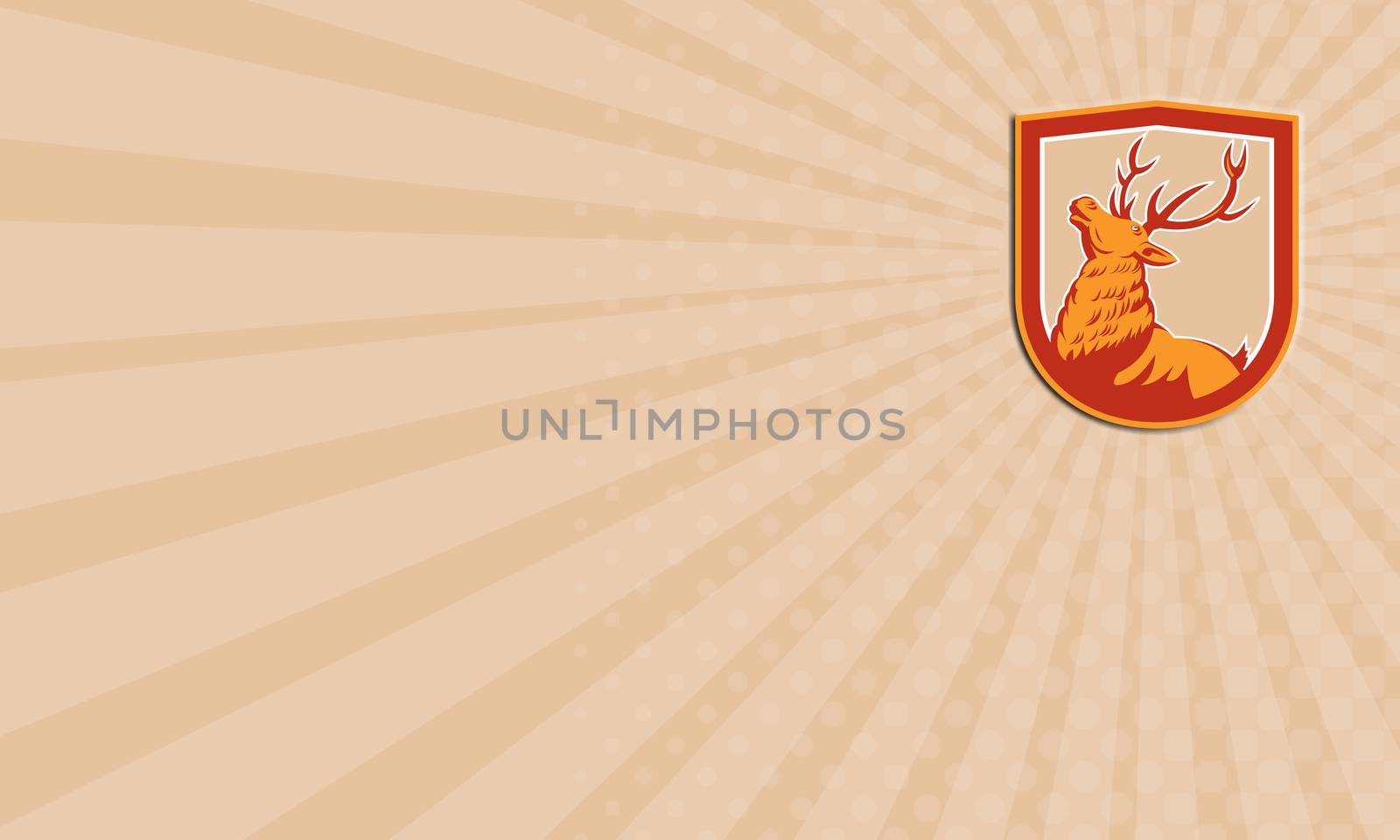 Business card showing illustration of a stag deer buck head looking up set inside shield crest on isolated background done in retro style.