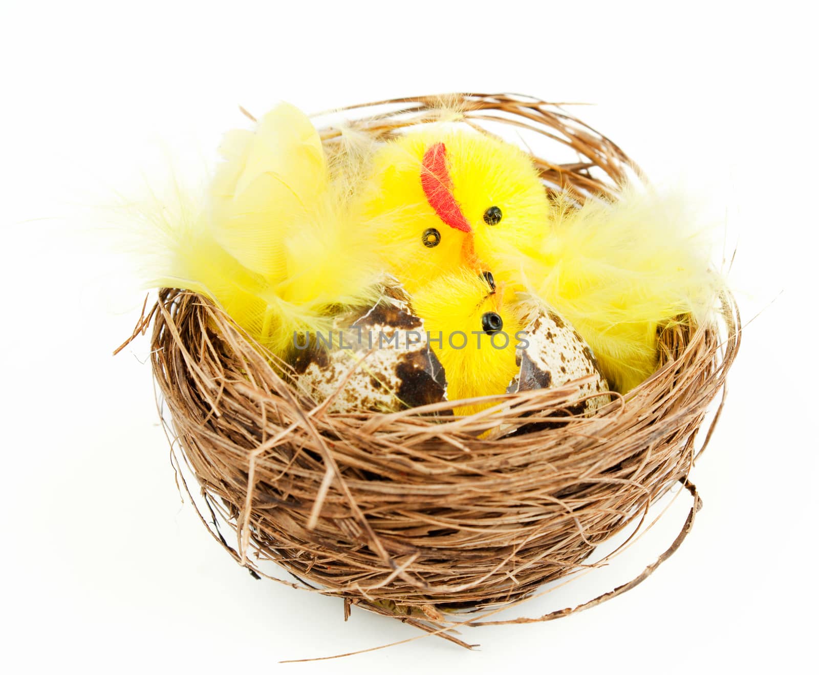 Easter chicken and hen bird's nest