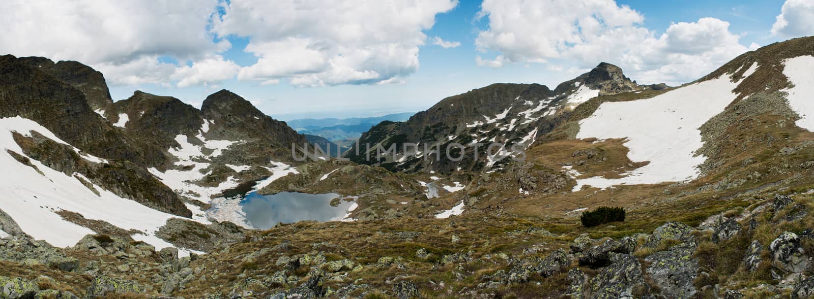 Mountainous landscape with green ecological nature by maggee