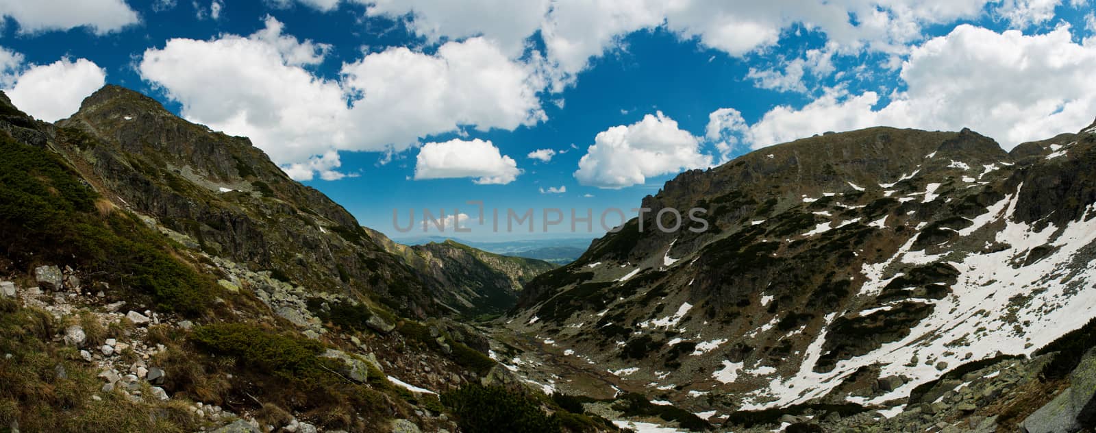 Mountainous landscape with green ecological nature by maggee