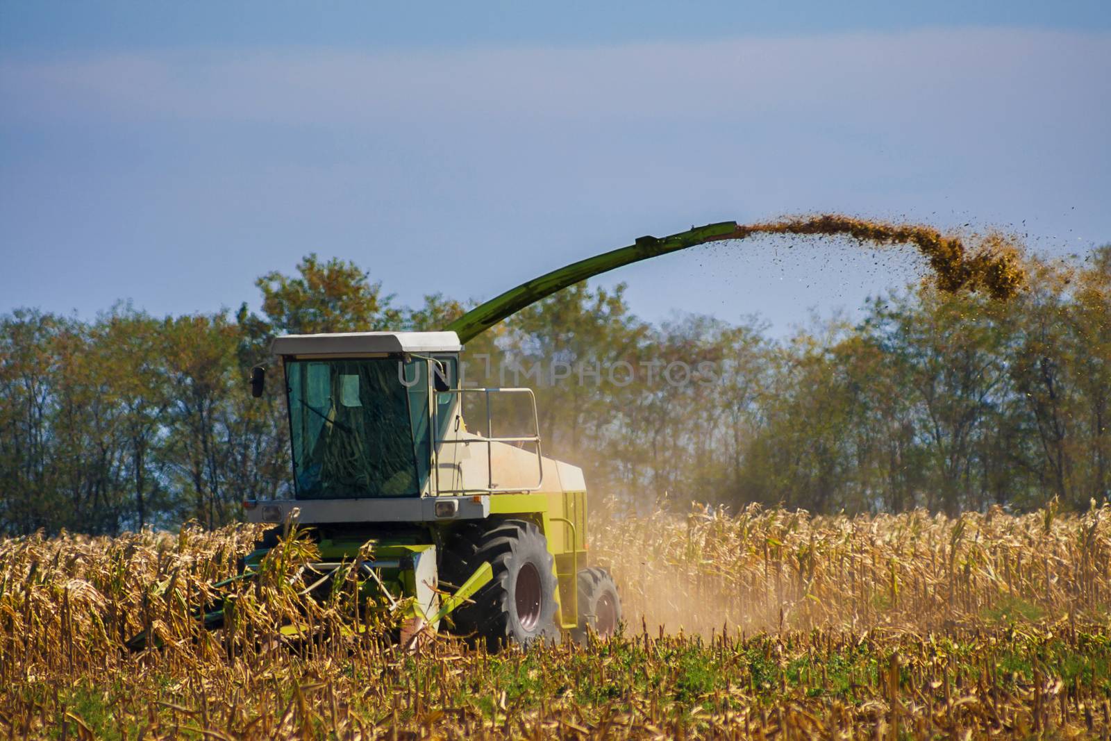 Harvester combine reaps on the field