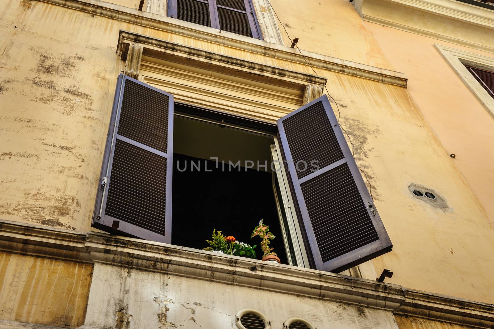 Window with flowers and blinds, old streets of Rome, Italy