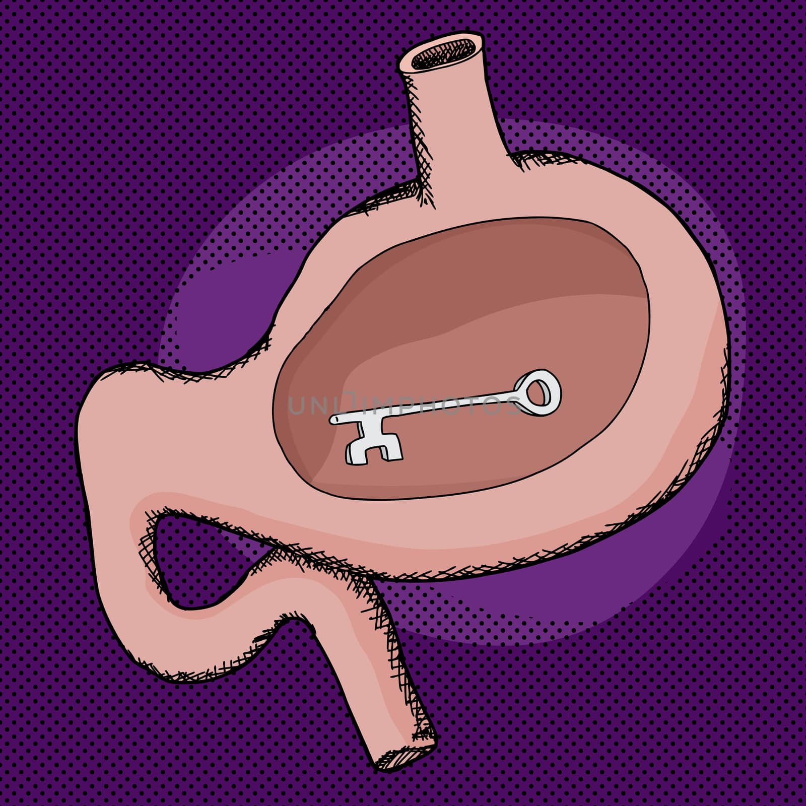 Skeleton key inside human stomach over purple background