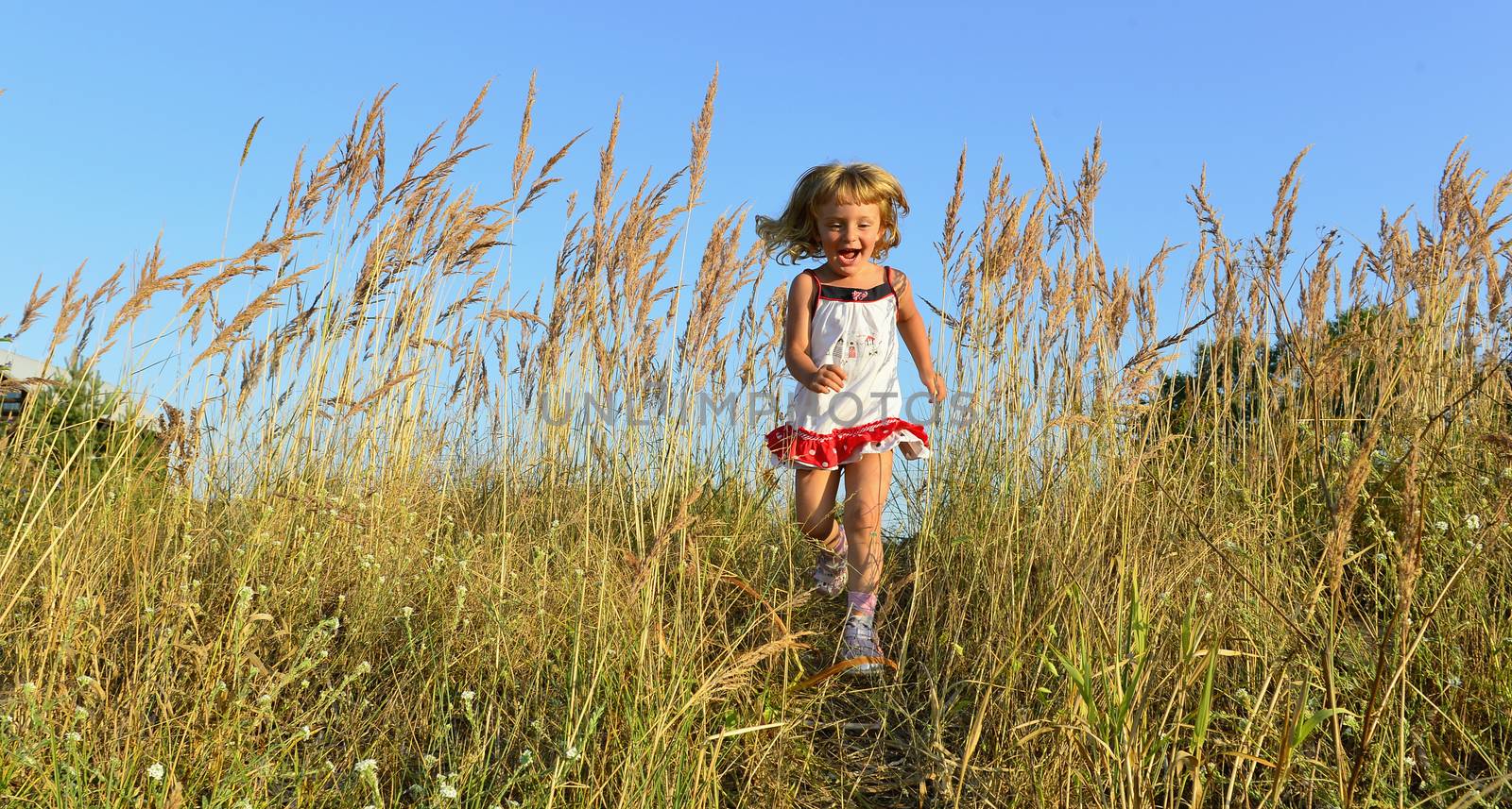 Laughing Happy little girl running on meadow with sunset. Summer 
