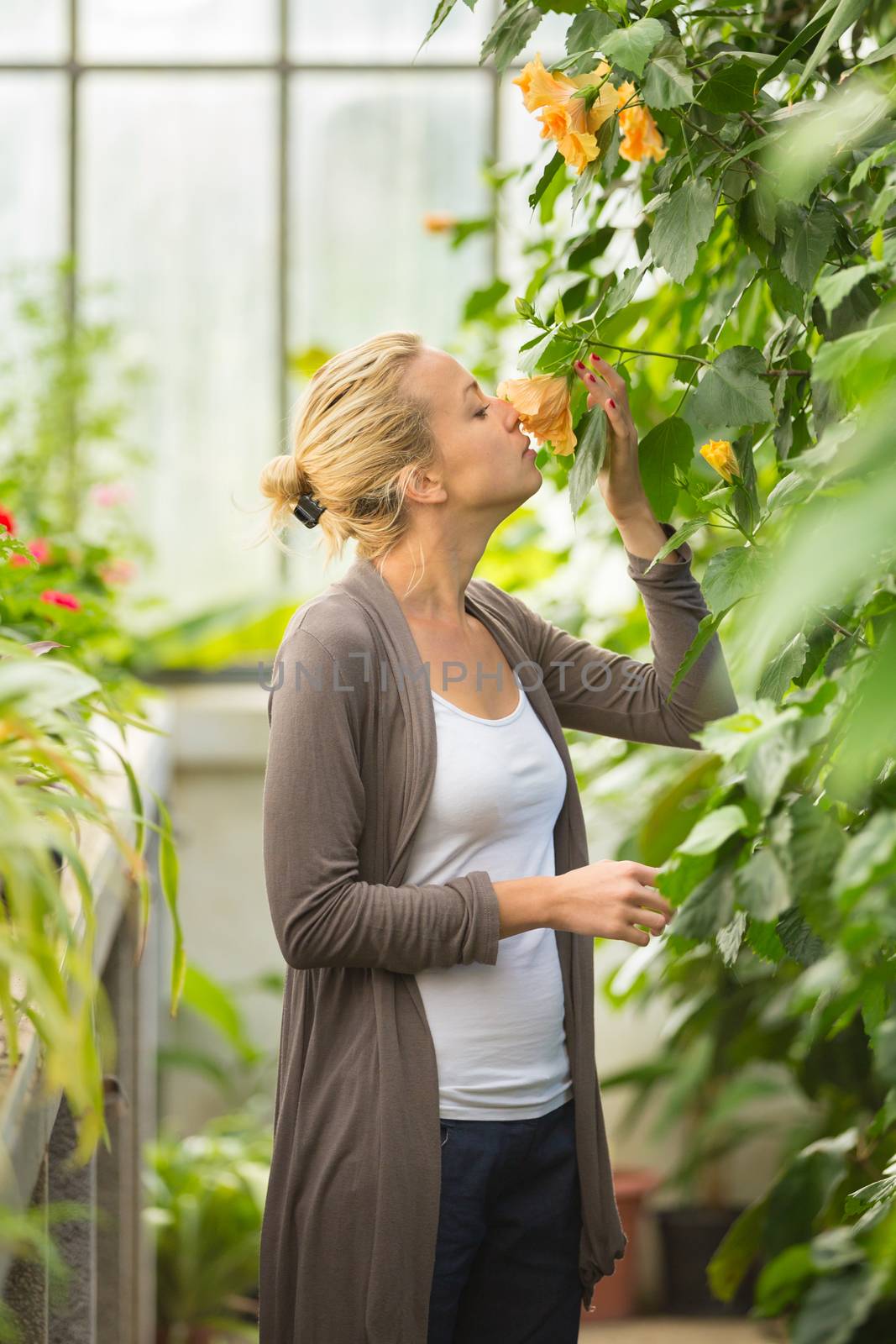 Florists woman smelling flowers in a greenhouse. 
