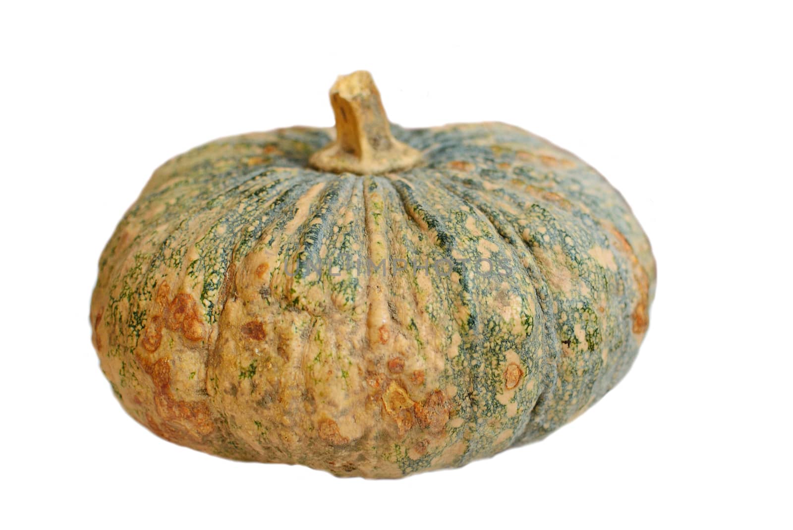 Pumpkin isolated on white background