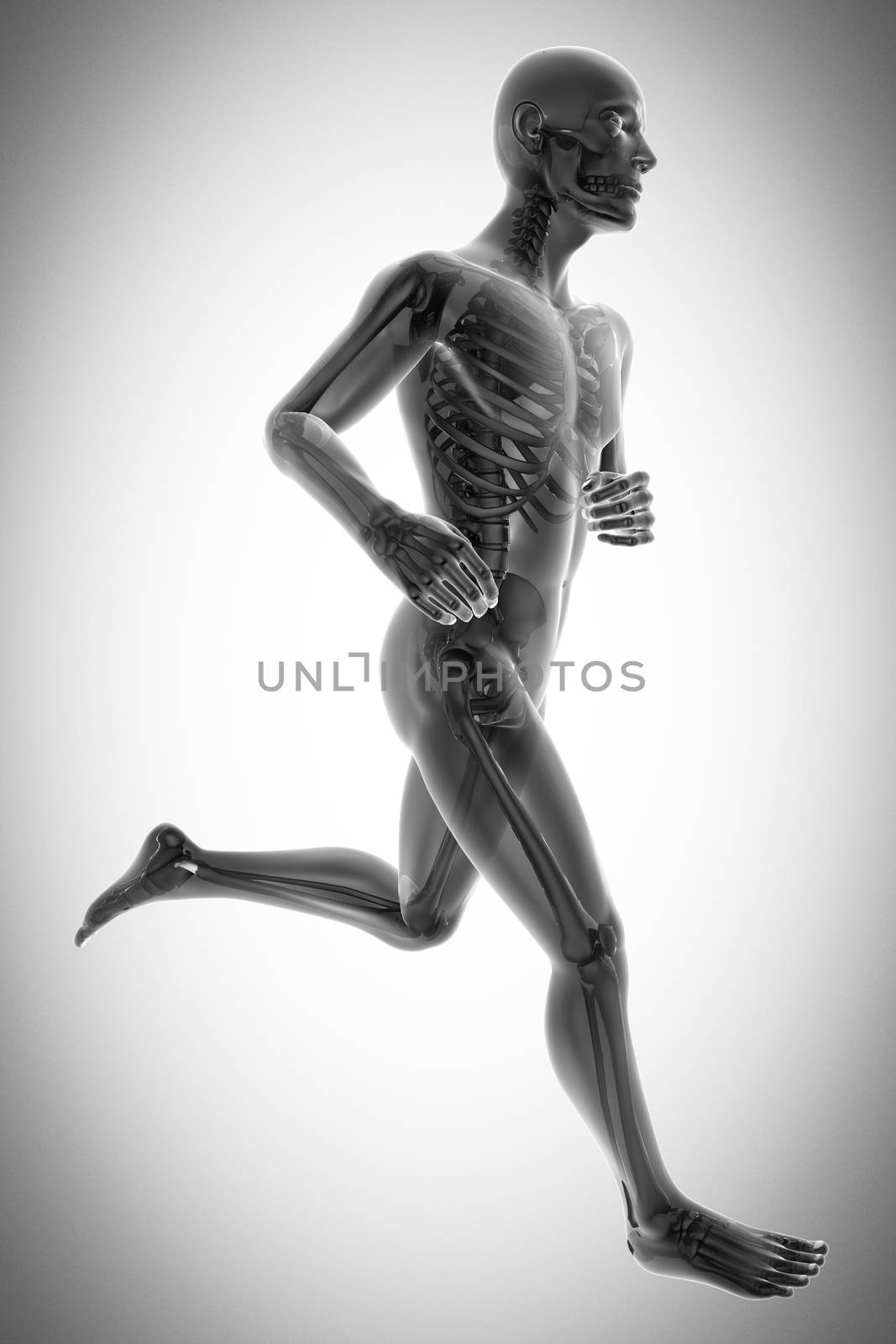 human bones radiography scan image by videodoctor