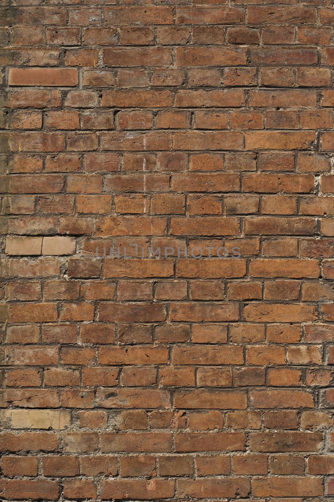 Brick background by NeydtStock