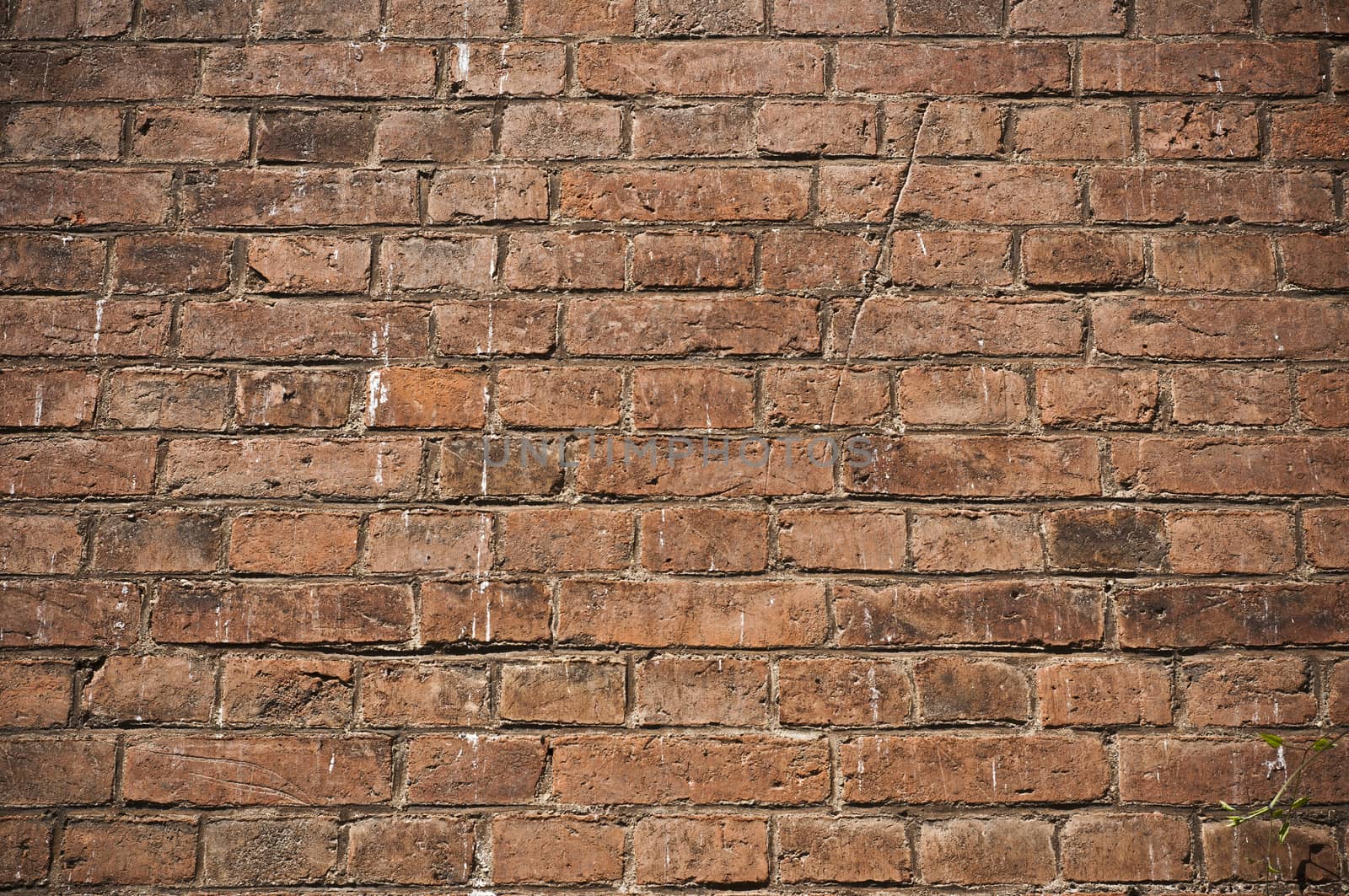 Brick background by NeydtStock