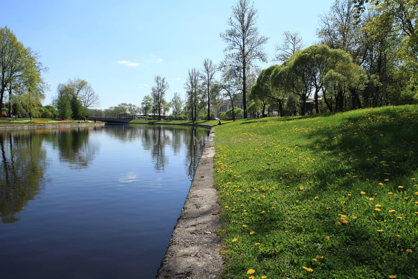 Landscape river and green field Spring time