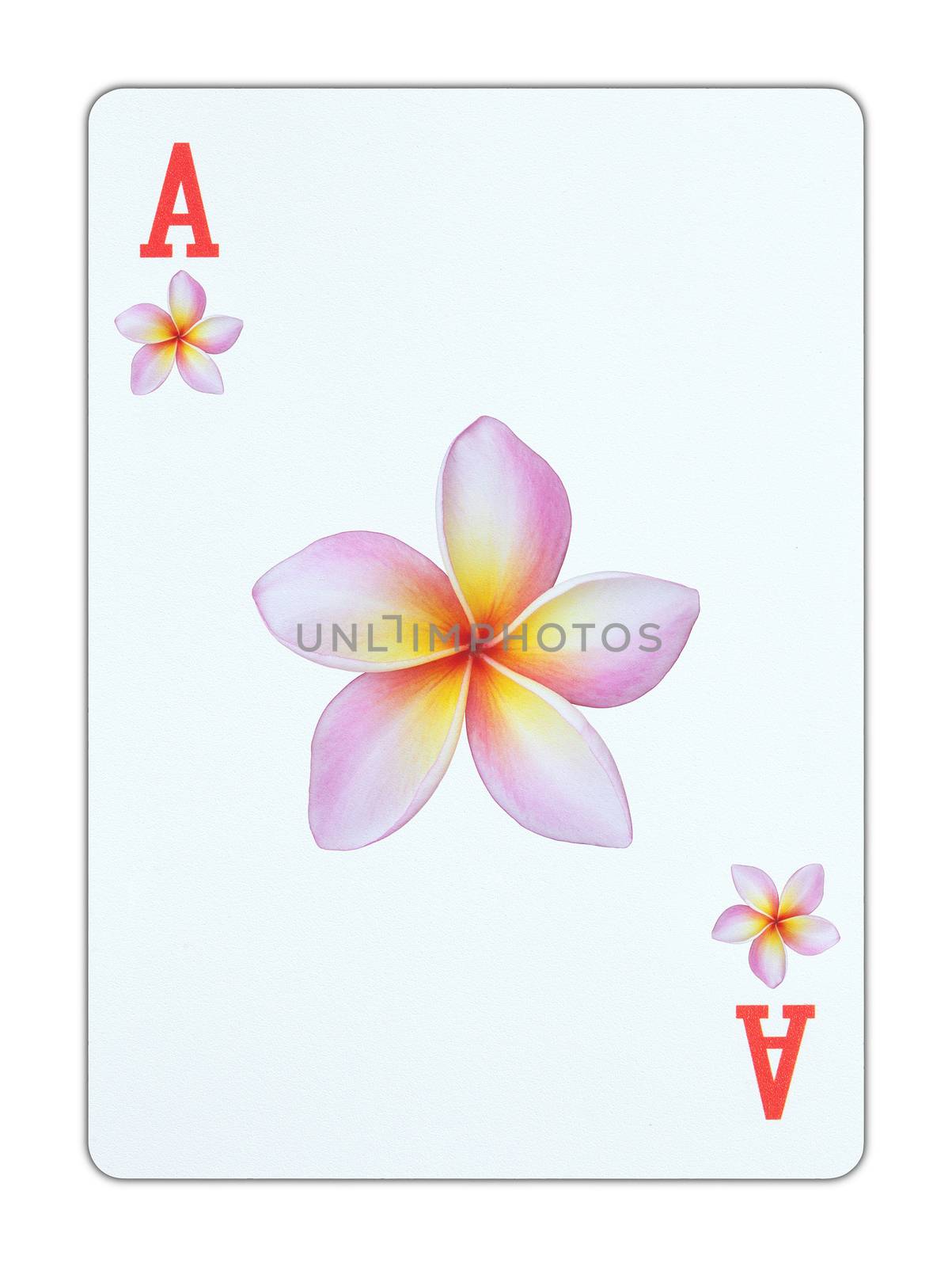 Playing card - Ace of flowers