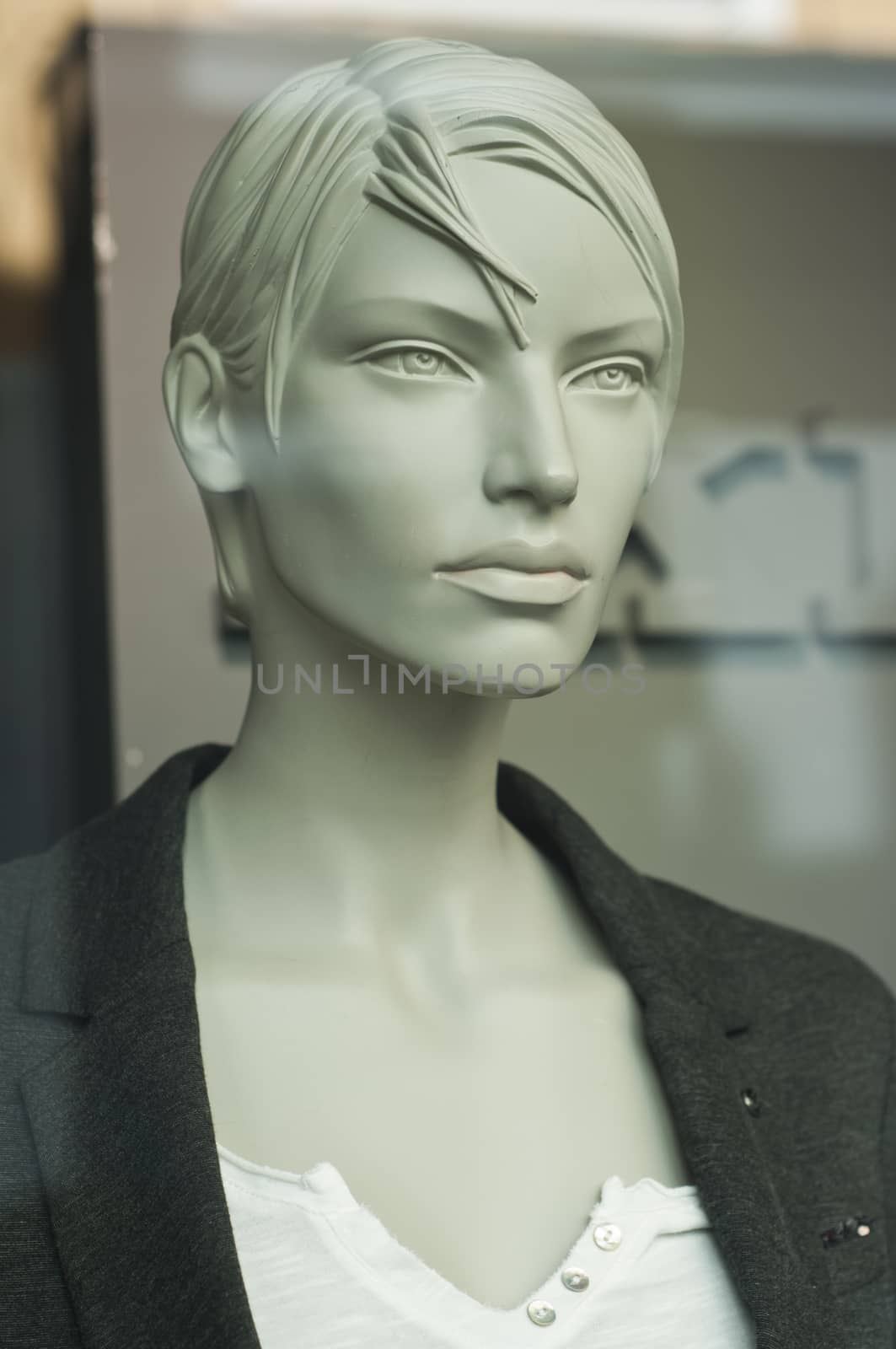 mannequin in the showcase store by NeydtStock