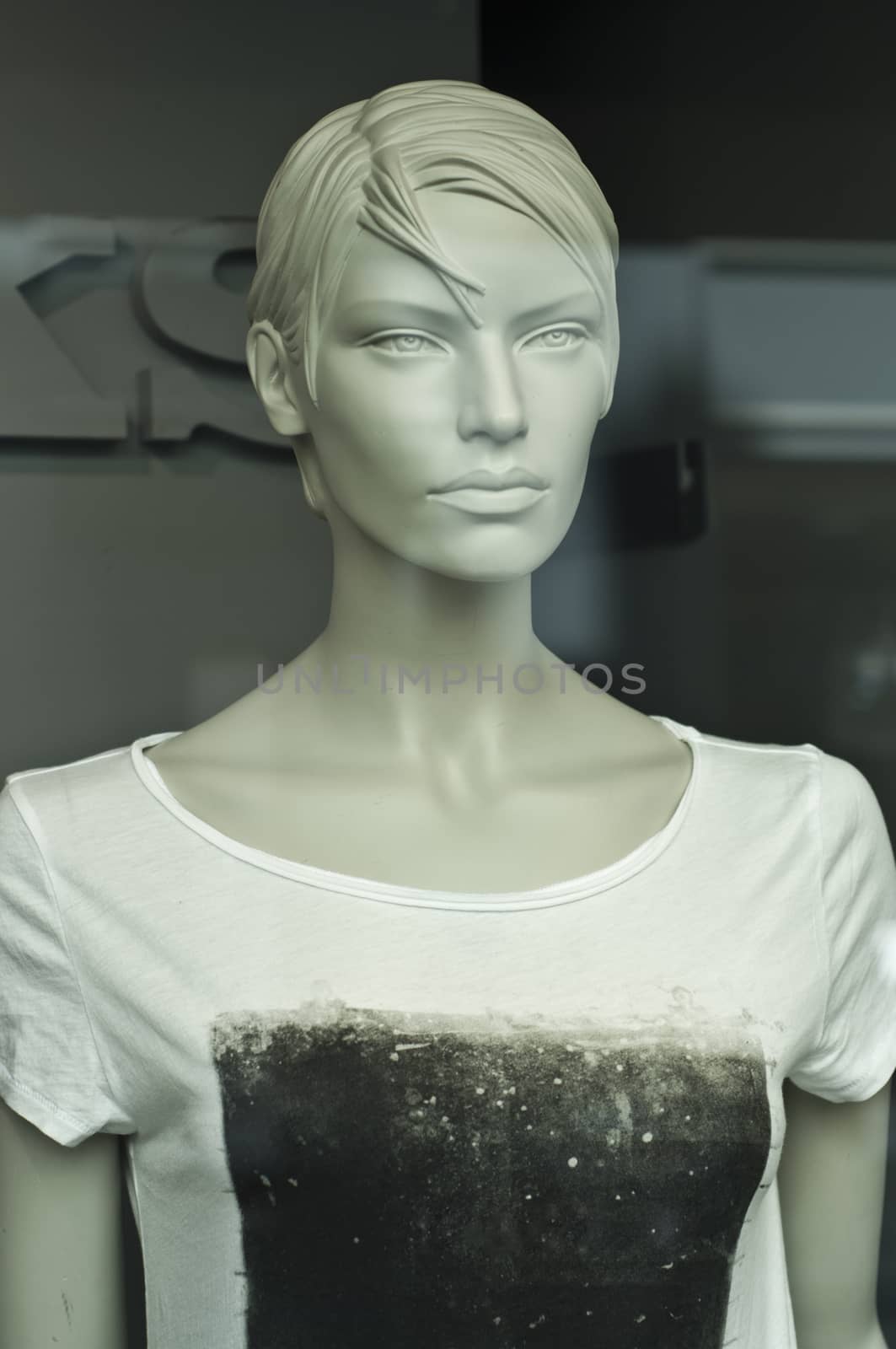 mannequin in the showcase store