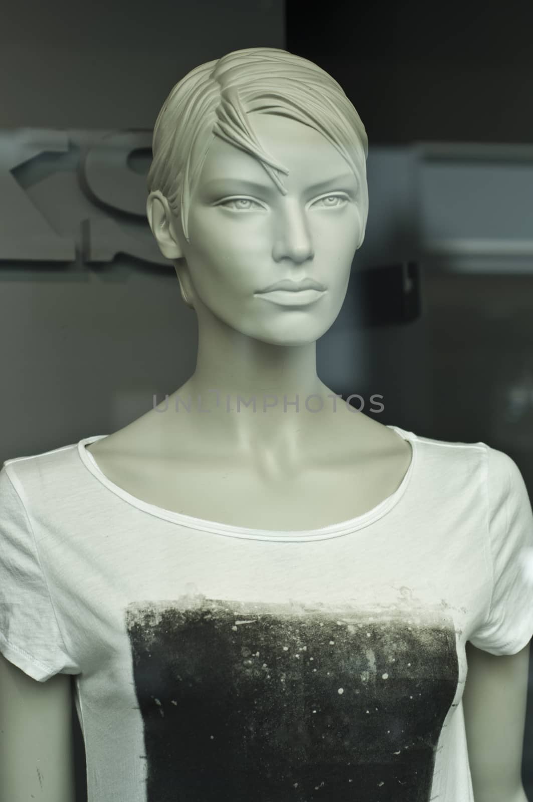 mannequin in the showcase store by NeydtStock