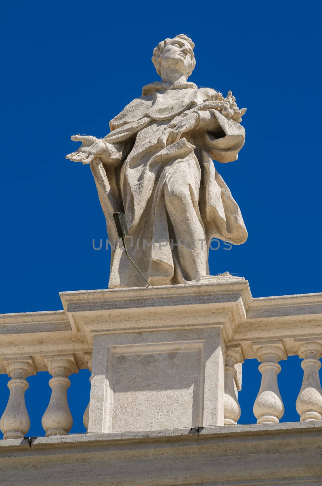 Statues on the roof of St. Peter Cathedral in Rome, Italy