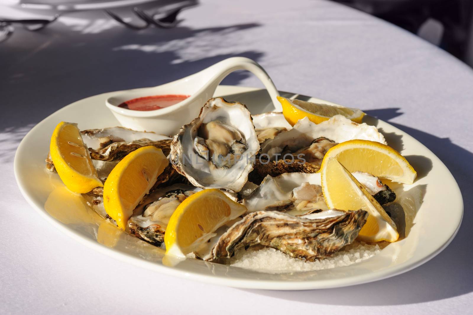 plate of oysters with lemon and special sauce