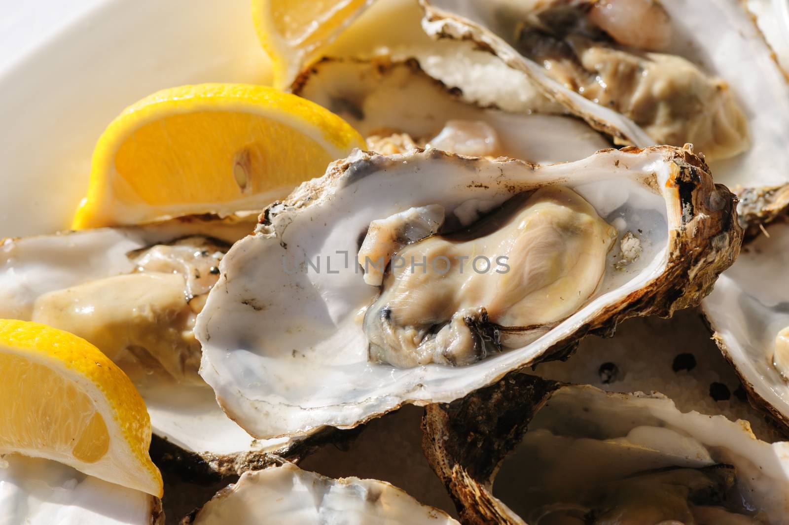 plate of oysters with lemon and special sauce