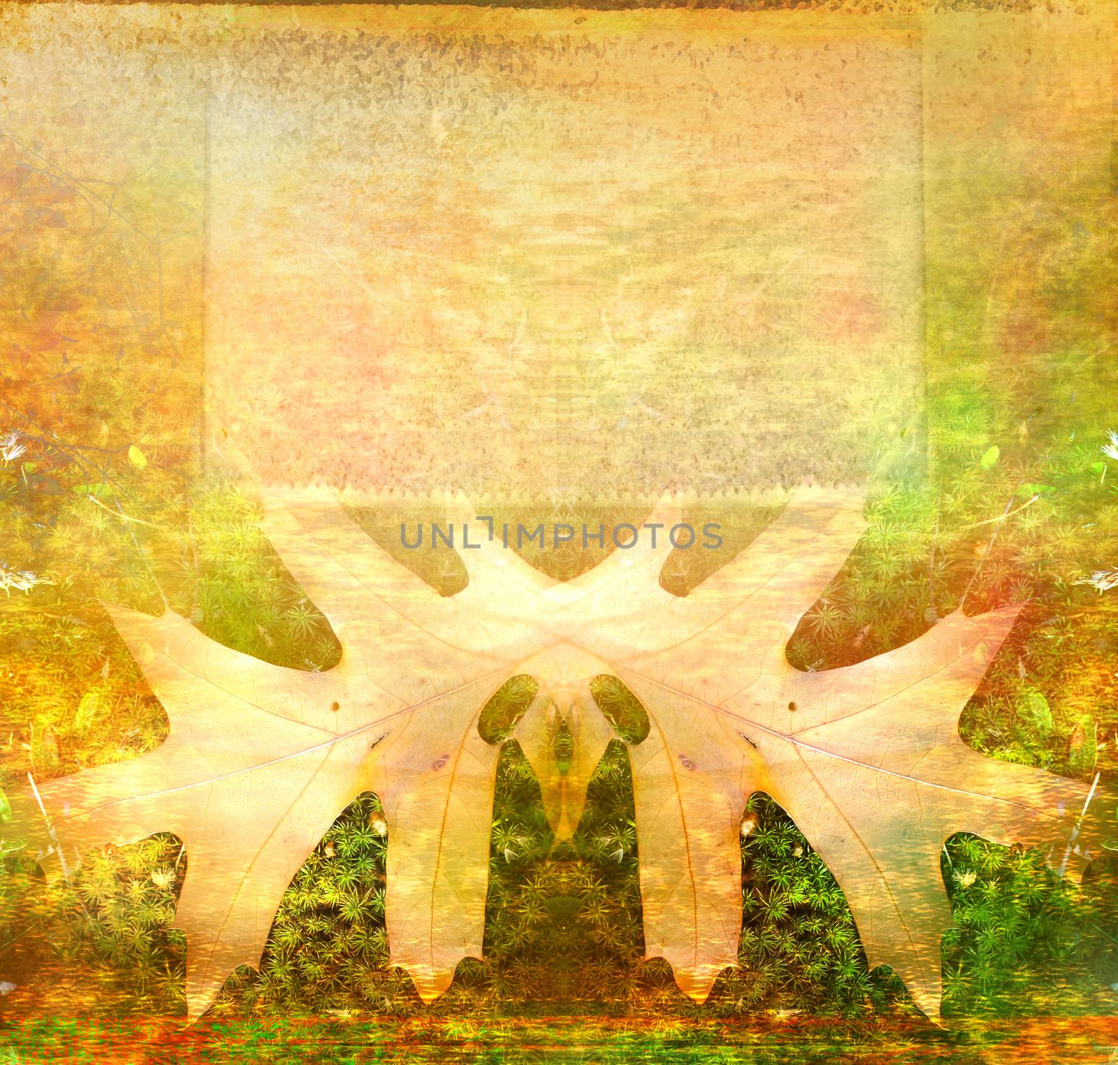 frame on autumn background