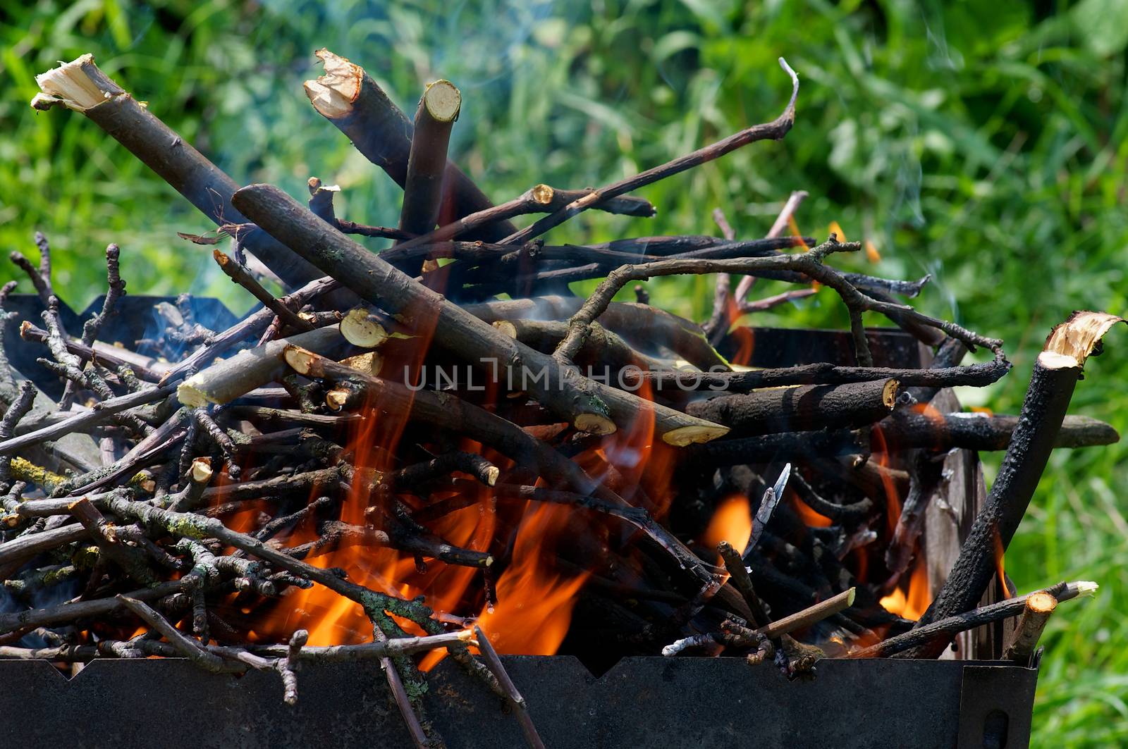 Barbecue Fire winch Tree Stumps in Brazier on Green Grass background Outdoors