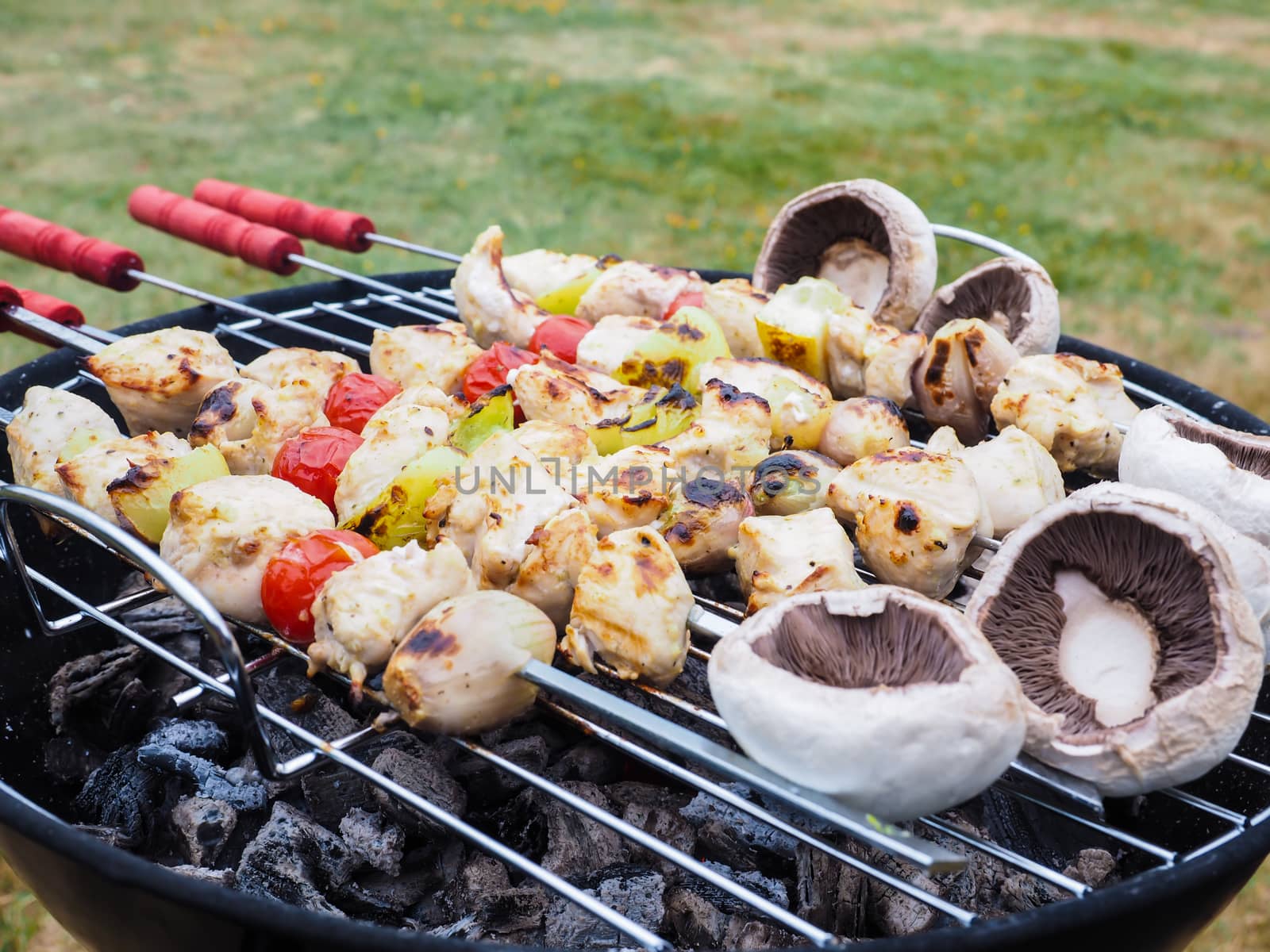 Barbecuing chicken, vegetables and champignon on spear over charcoal grill