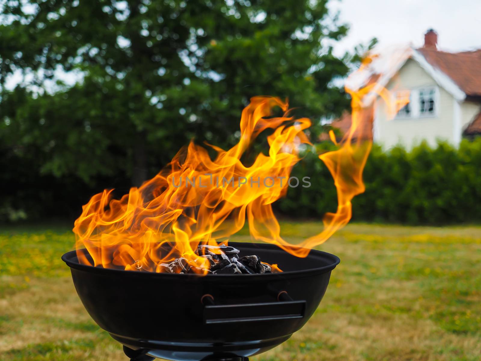 Hugh flame on a grill with charcoal on green lawn by Arvebettum