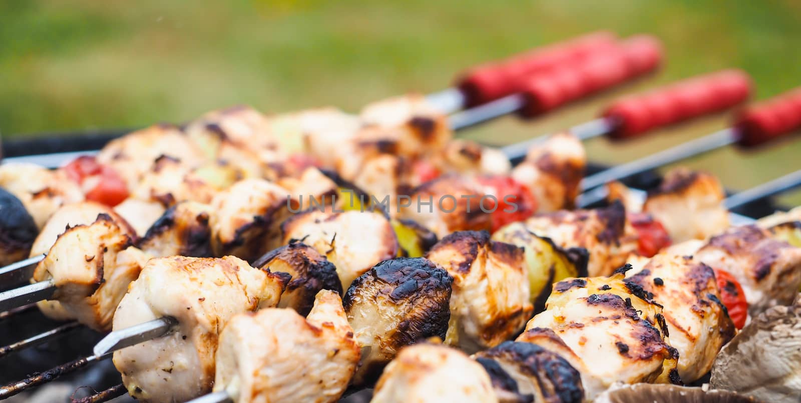 Closeup of a barbecue with chicken  and vegetables on spear