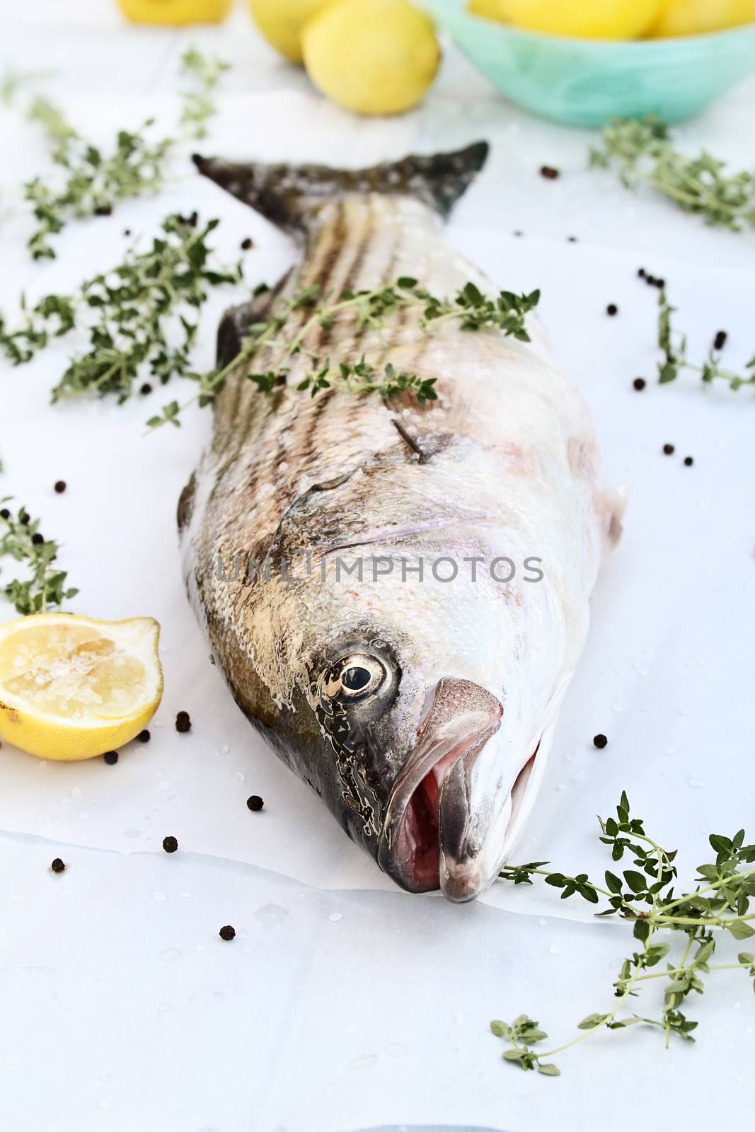  Striped Bass With Fresh Herbs and Lemons by StephanieFrey