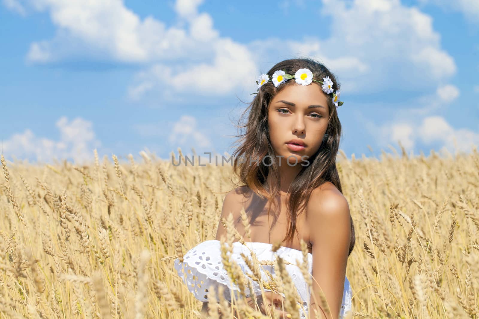 Beautiful young woman in white dress on wheat golden field