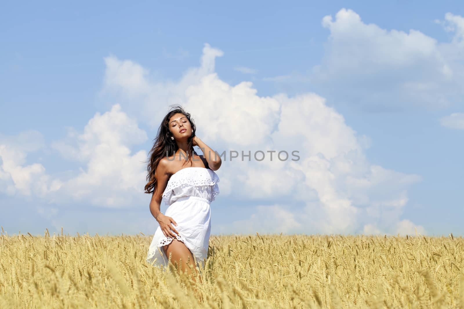 Young woman in a wheat golden field by andersonrise