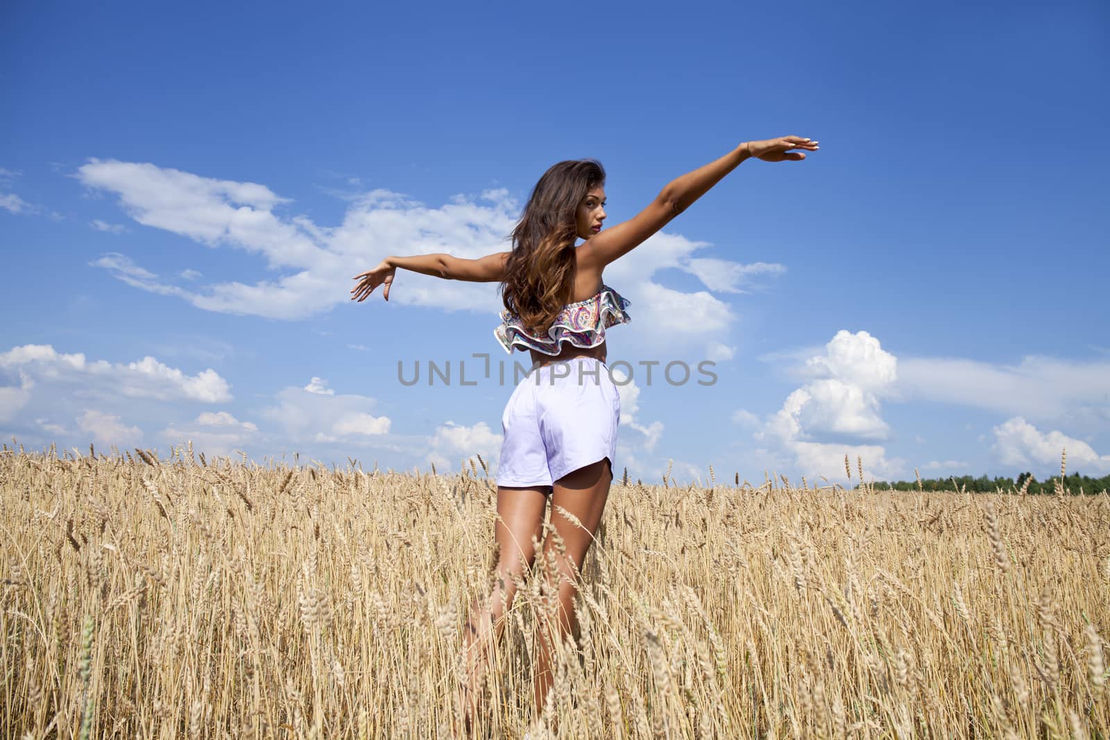 Young woman in a wheat golden field by andersonrise