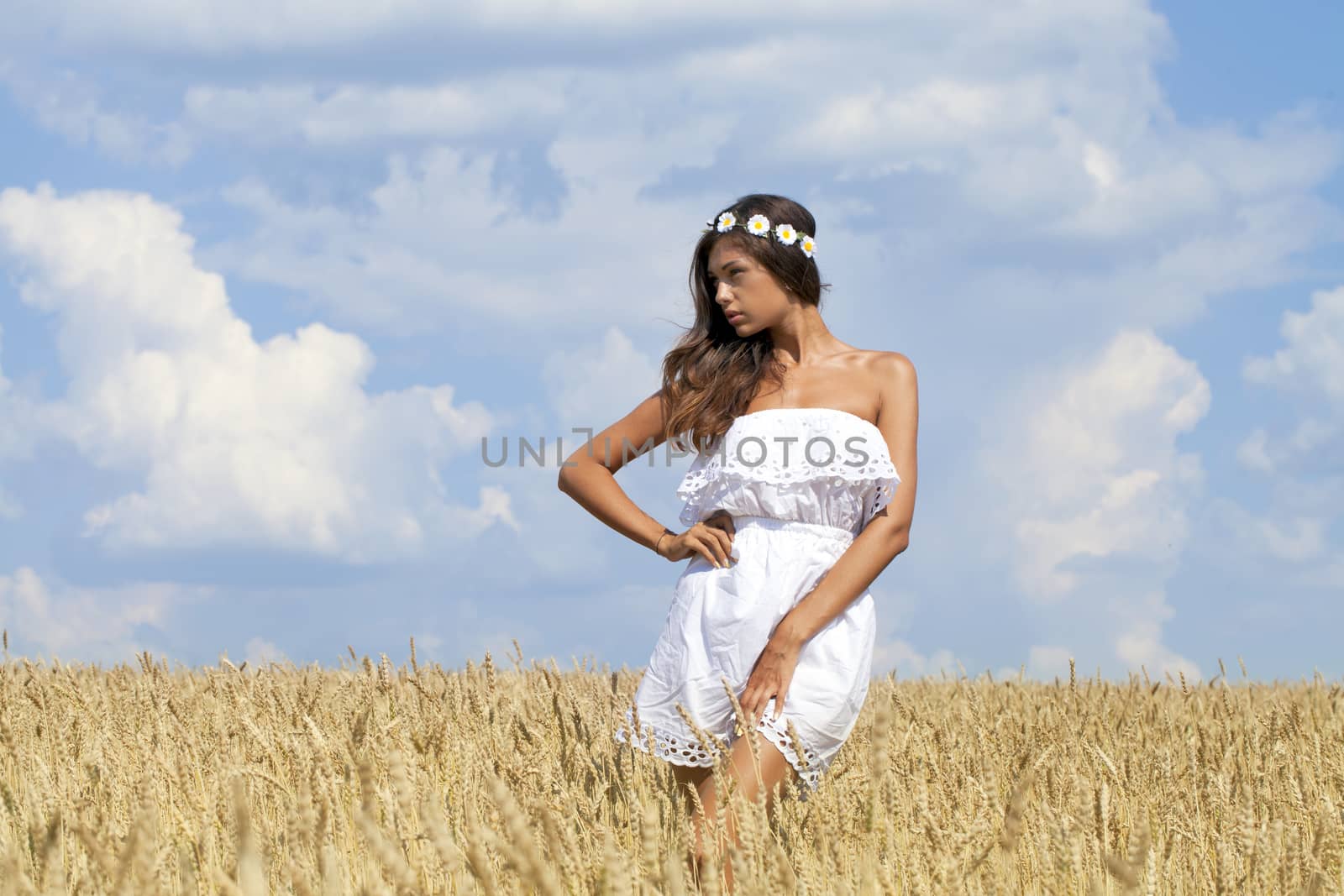 Beautiful young woman in a wheat golden field