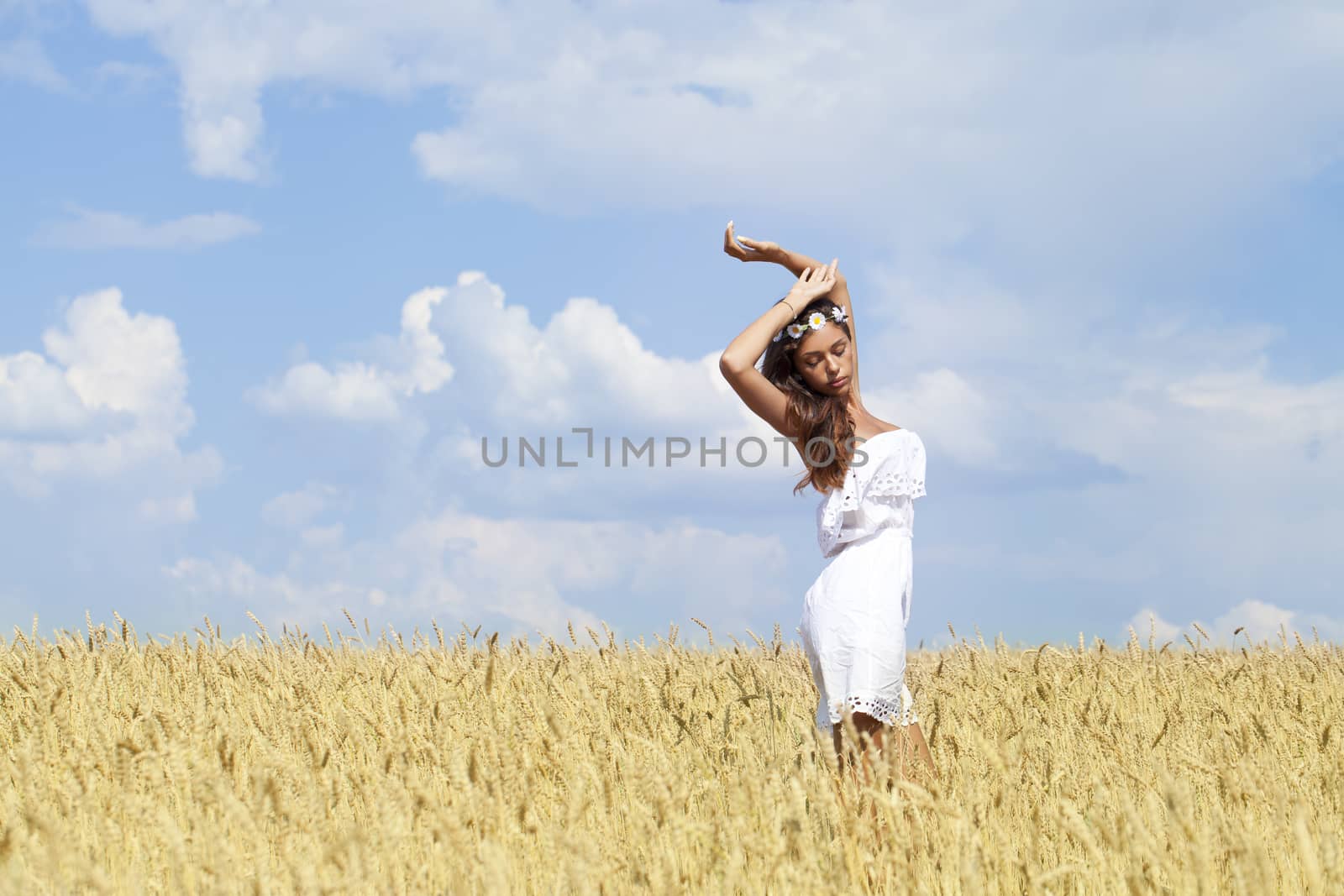 Young woman in a wheat golden field by andersonrise