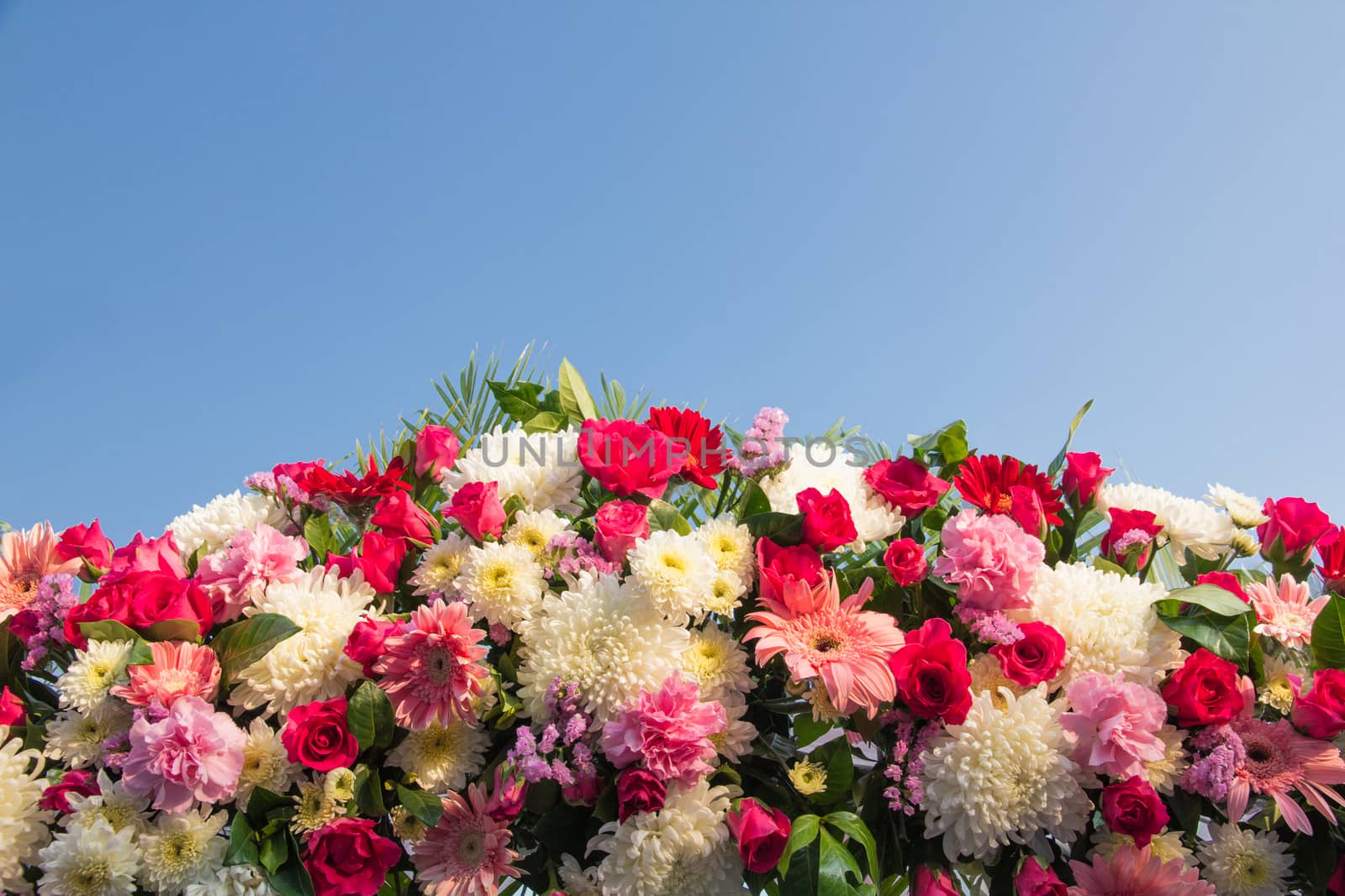 Bouquet of fresh pink and white flowers  for  a special occasion