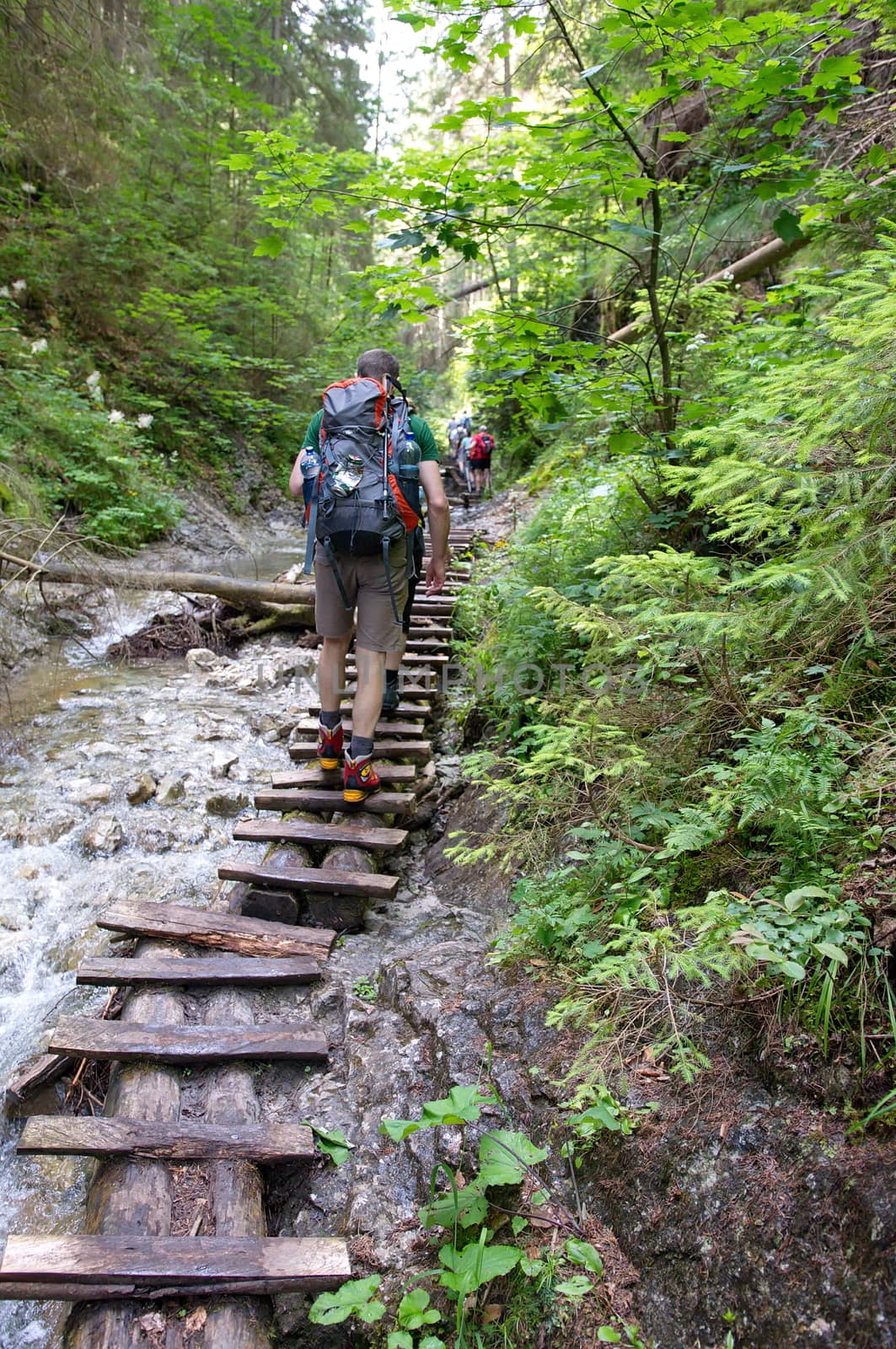 Slovakian Paradise, SLOVAKIA - JULY 05: Unknown Hiker in Slovakian Paradise National Park in Slovakian Paradise, Slovakia on July 05, 2014