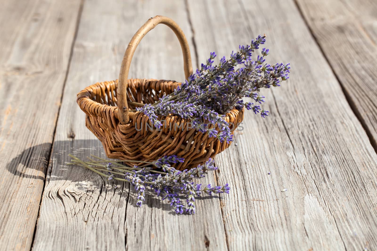 Basket with a lavender, on wooden background