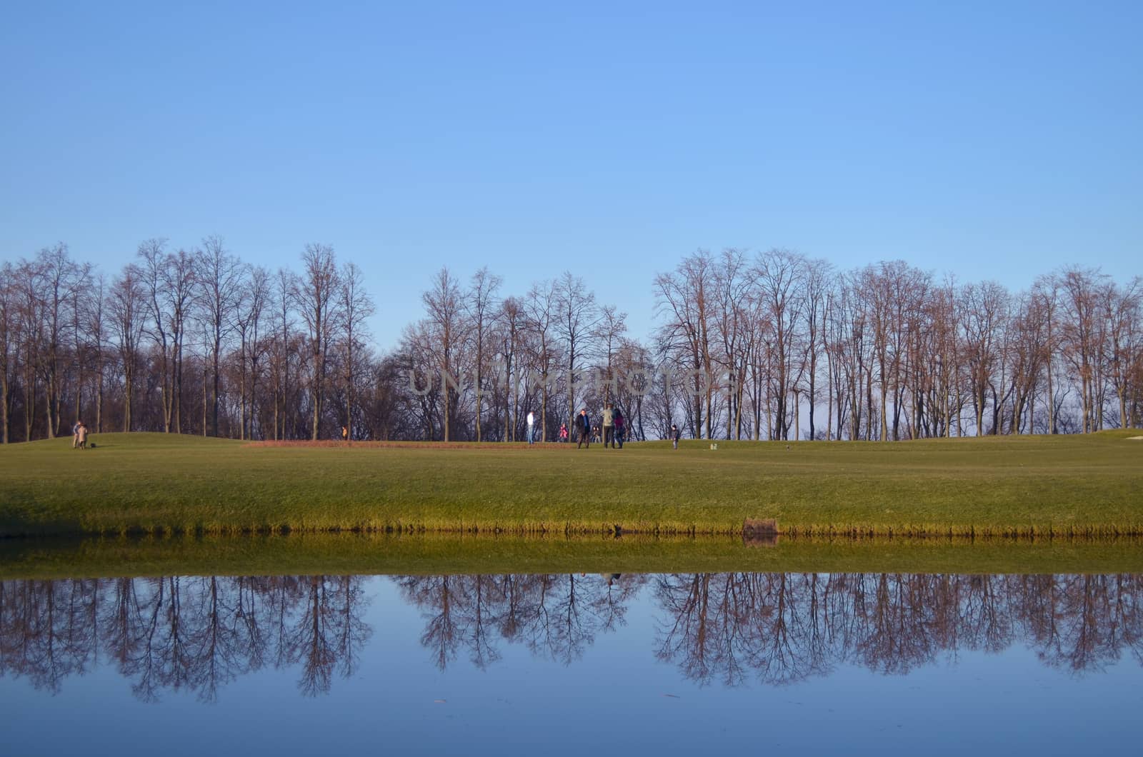Lake with reflections on a golf course by puppiesam