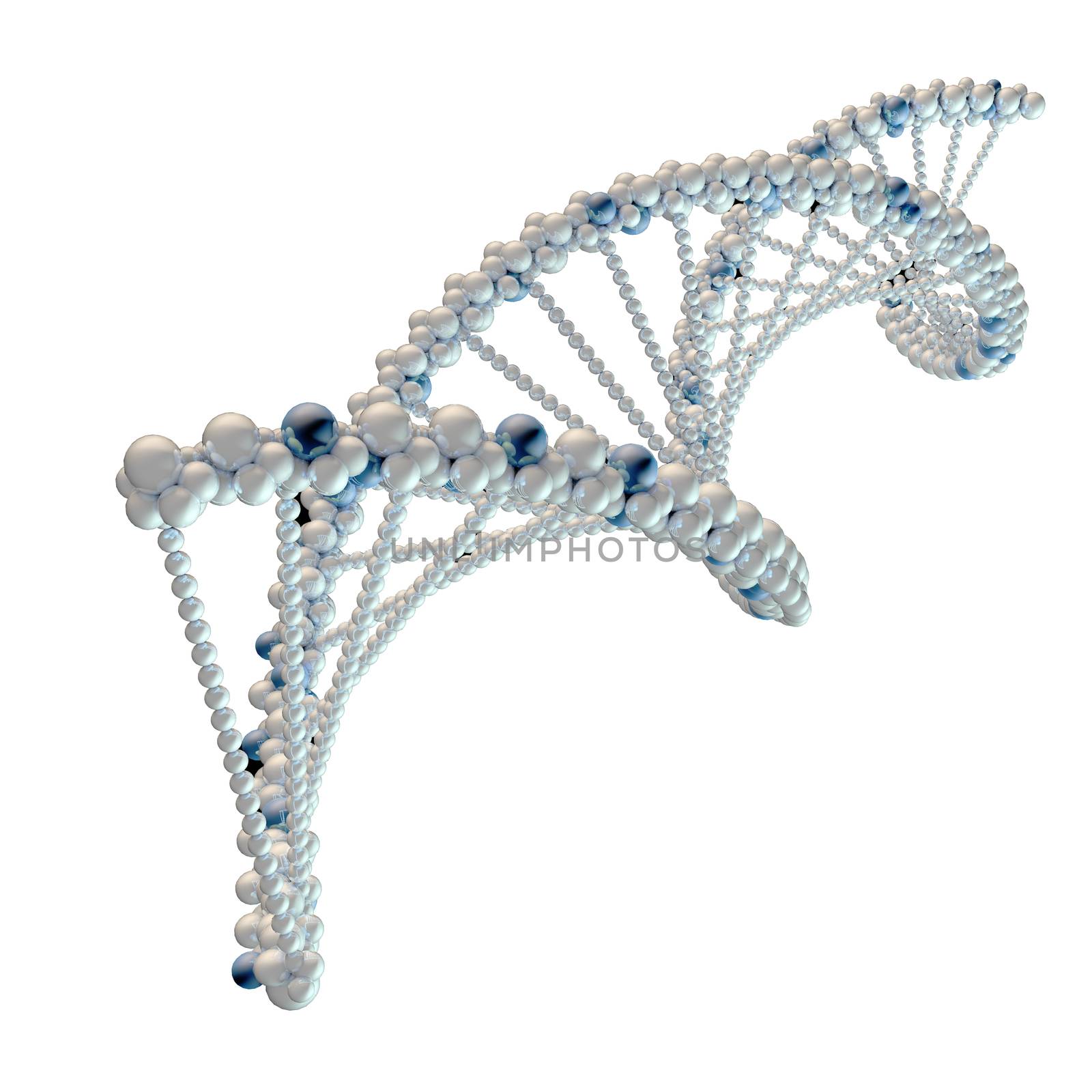 Illustration of white DNA chain by cherezoff