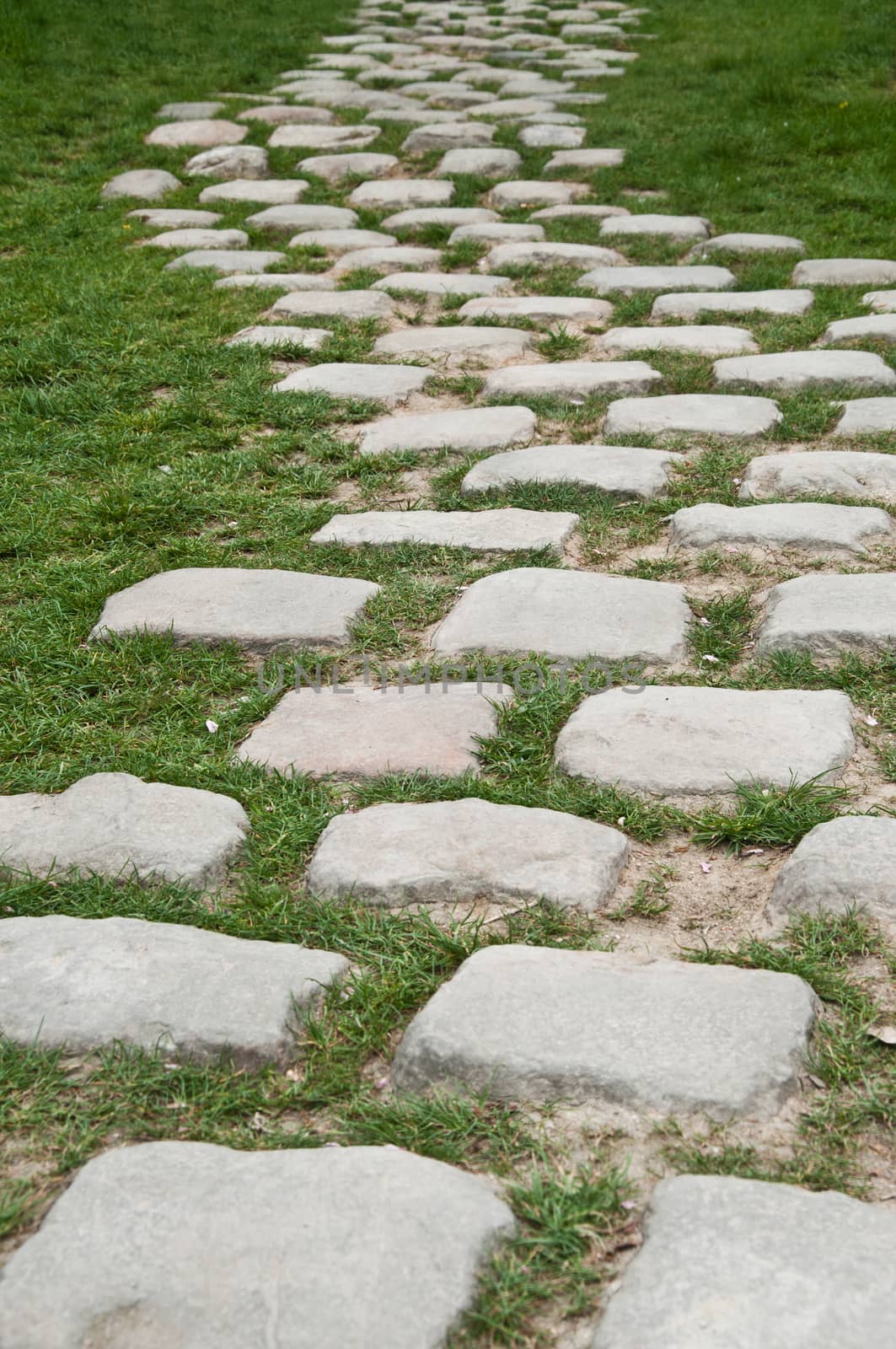 pavement in cobbles in garden by NeydtStock