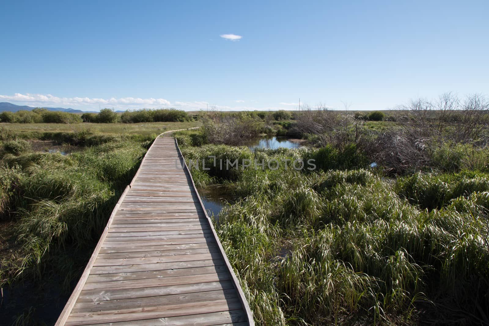 An old wooden footpath crosses a marshy riparian area, featuring long grass and mountains and clouds in the distance