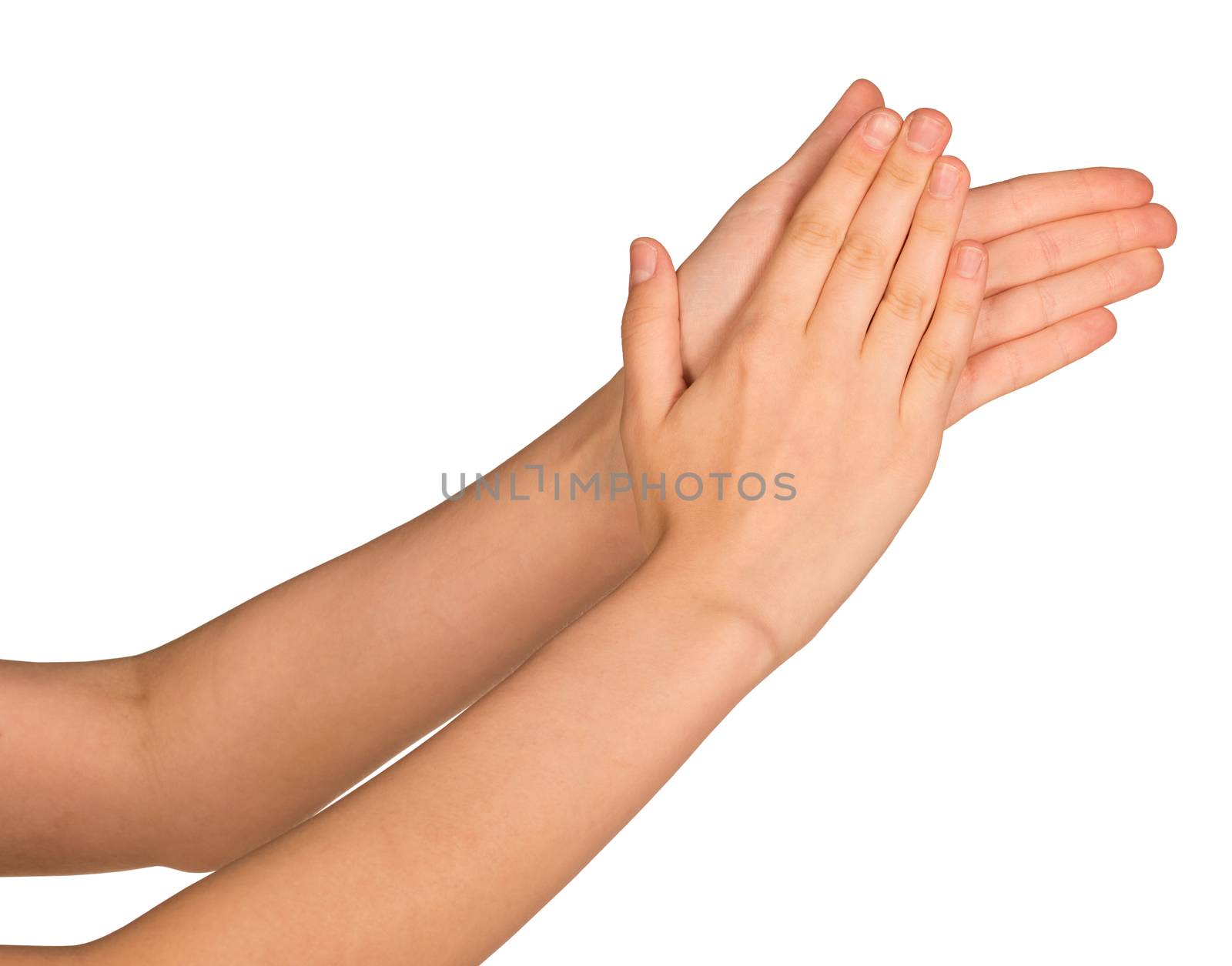 Hands applauding isolated on a white background
