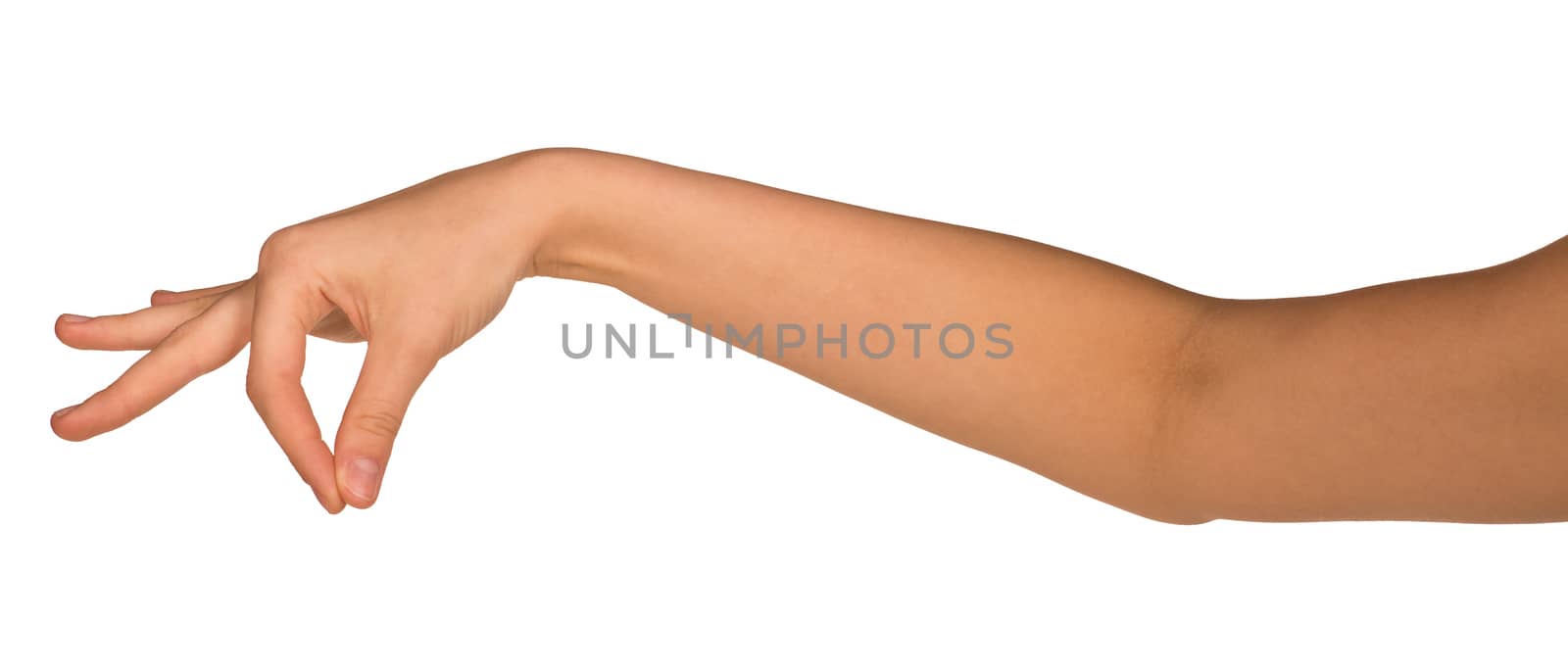 Hand hold empty copy space. Isolated on white background