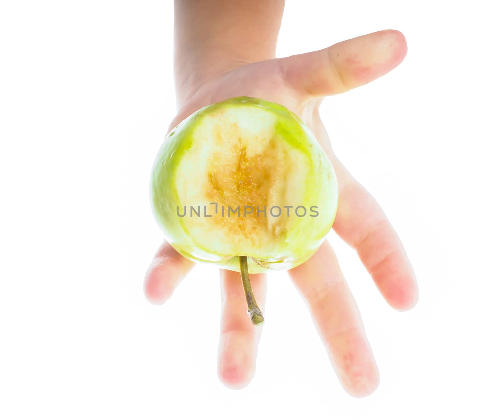 Little childs hand holding an unripe green apple towards white