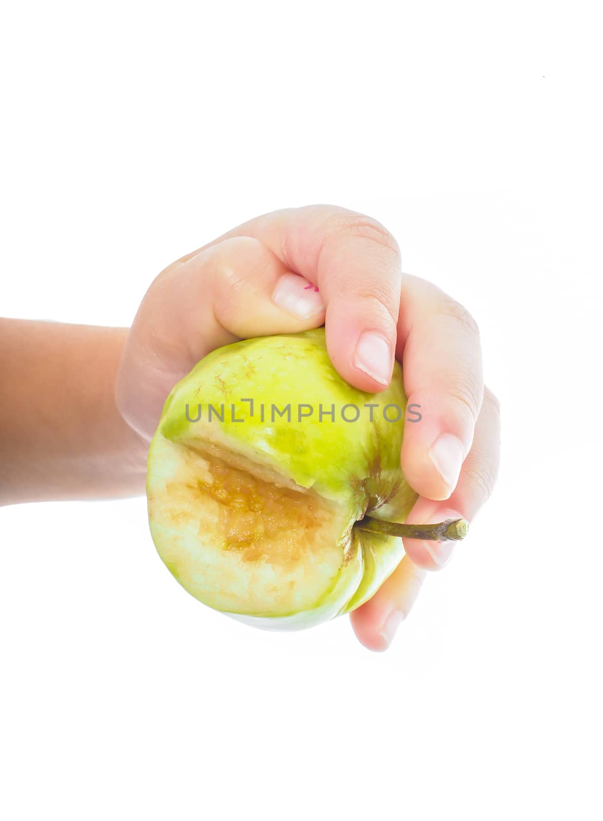 Little childs hand holding an unripe green apple towards white by Arvebettum