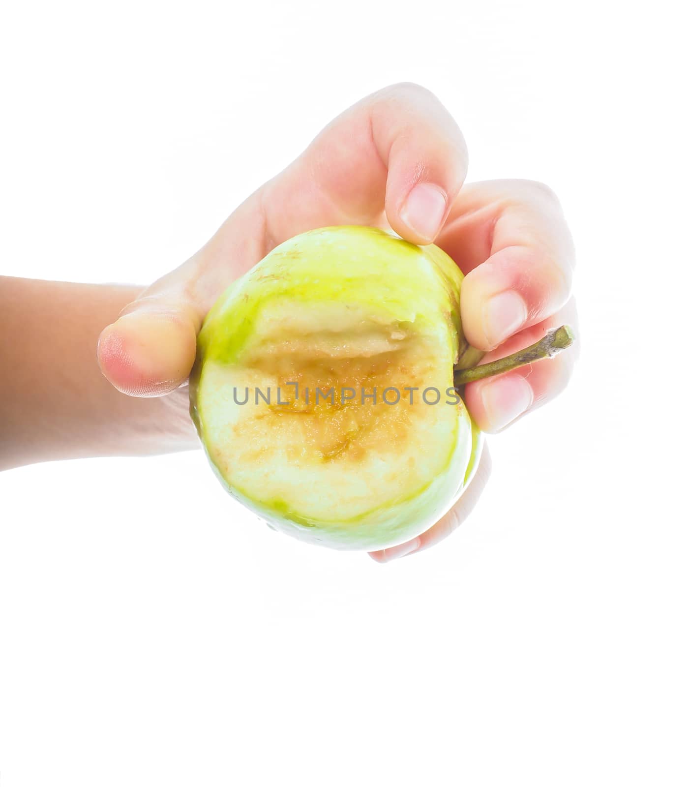 Little childs hand holding an unripe green apple towards white