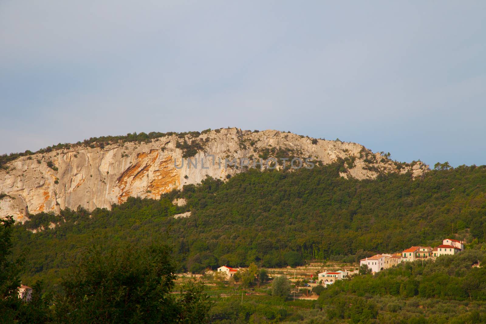 Hills full of trees with with big cliffs