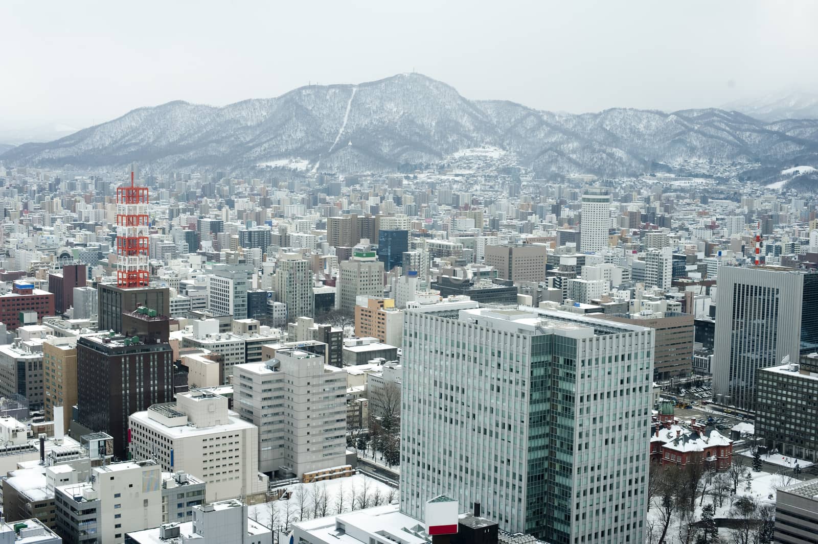 City of Sapporo as viewed from the JR Tower by stockarch