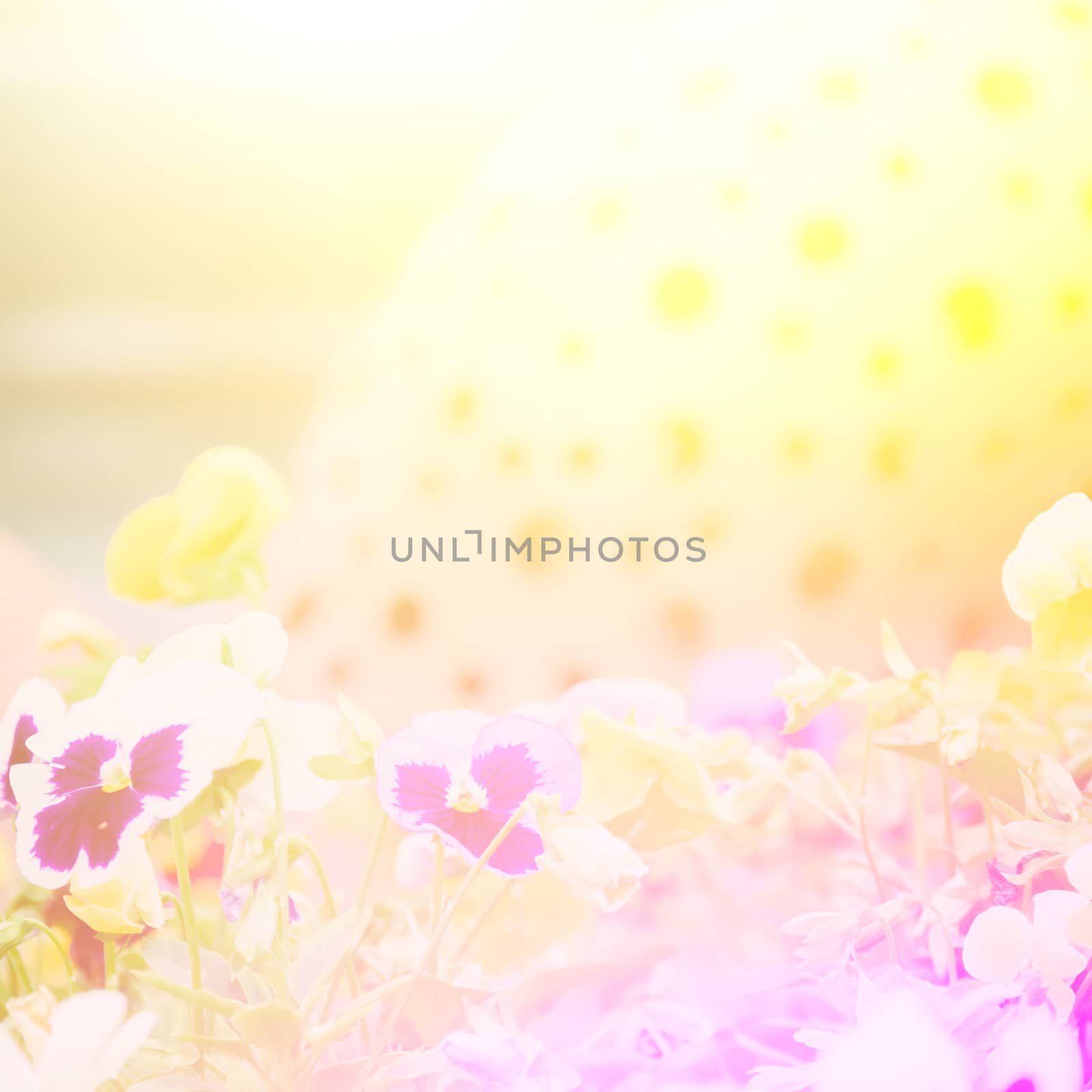 vivid color beautiful wild flowers in soft style.For art texture or web design and vertical background