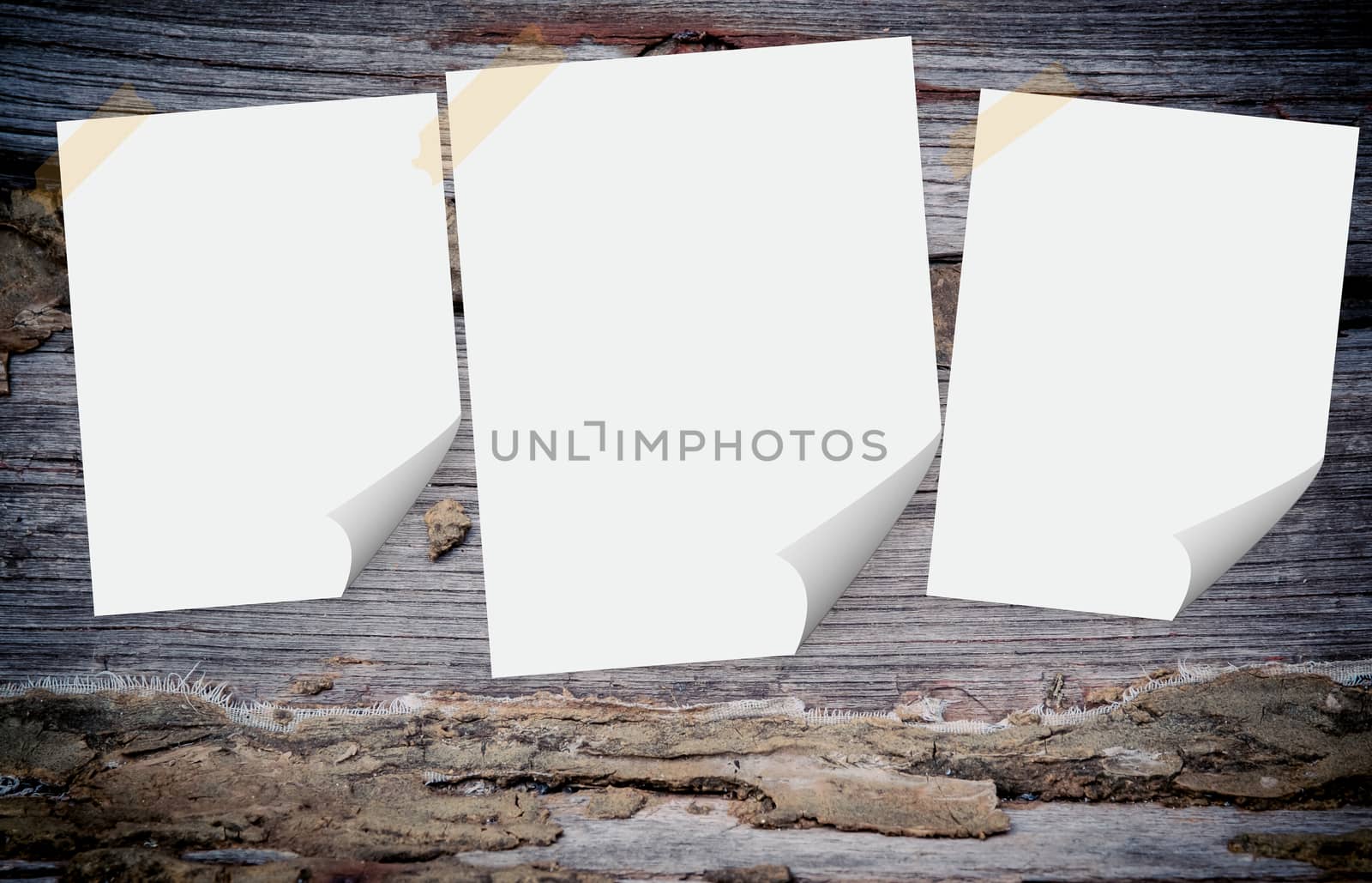 Blank paper on the wood background