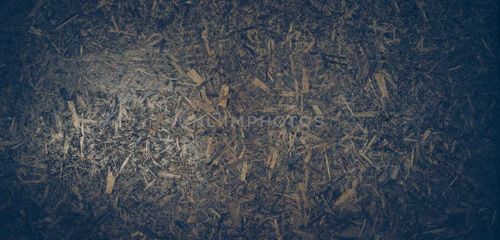 Scraps of wood panel texture background.