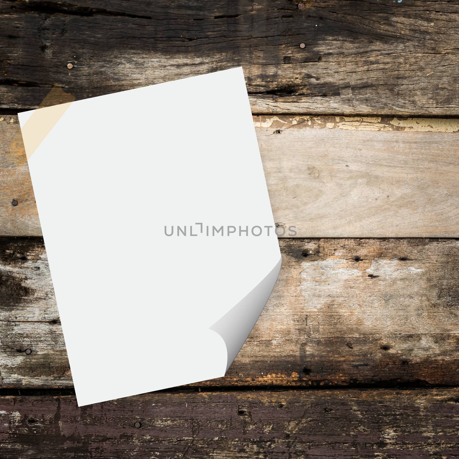Blank paper on the wood background